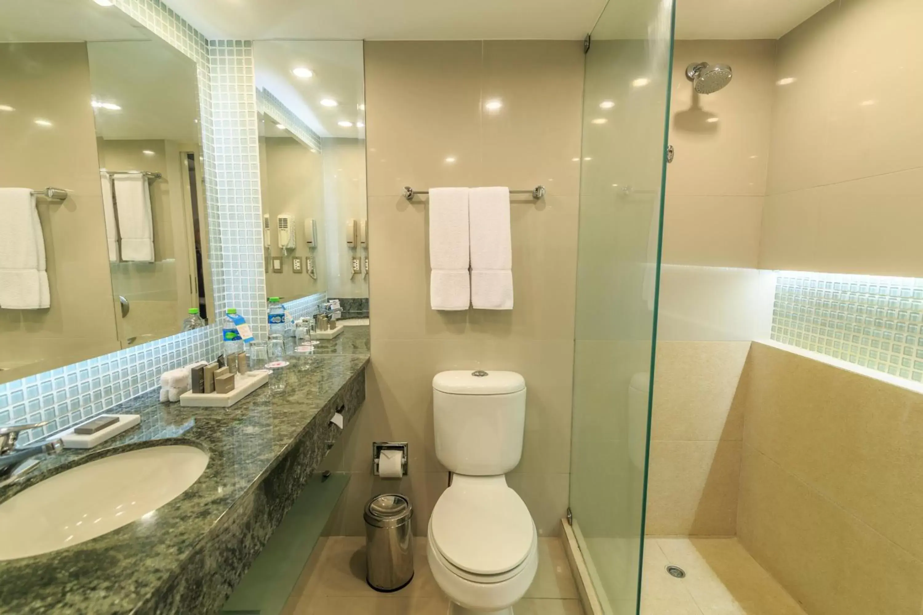 Bathroom in Los Tajibos, Santa Cruz de la Sierra, a Tribute Portfolio Hotel