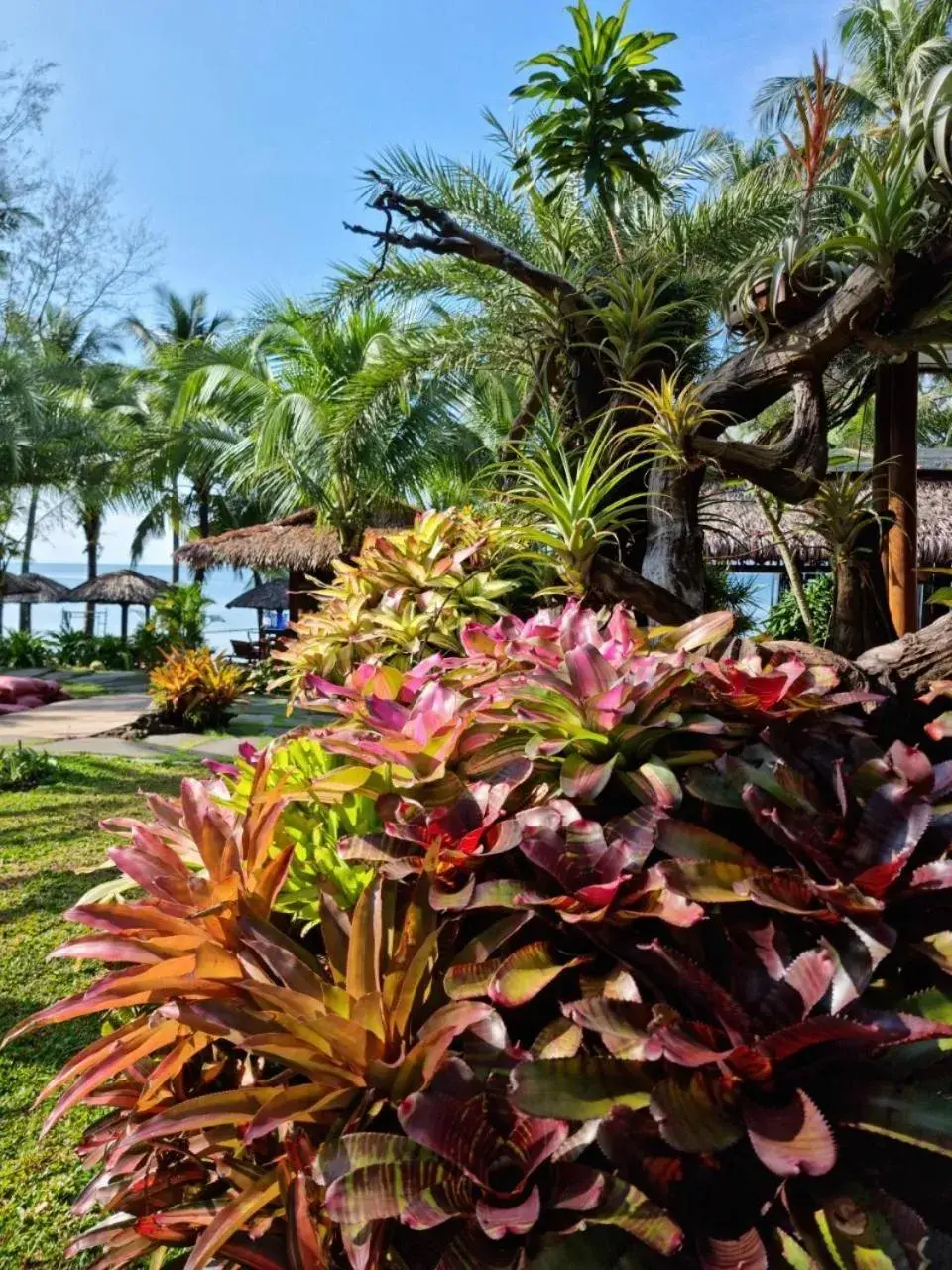 Garden in Coco Palm Beach Resort & Spa