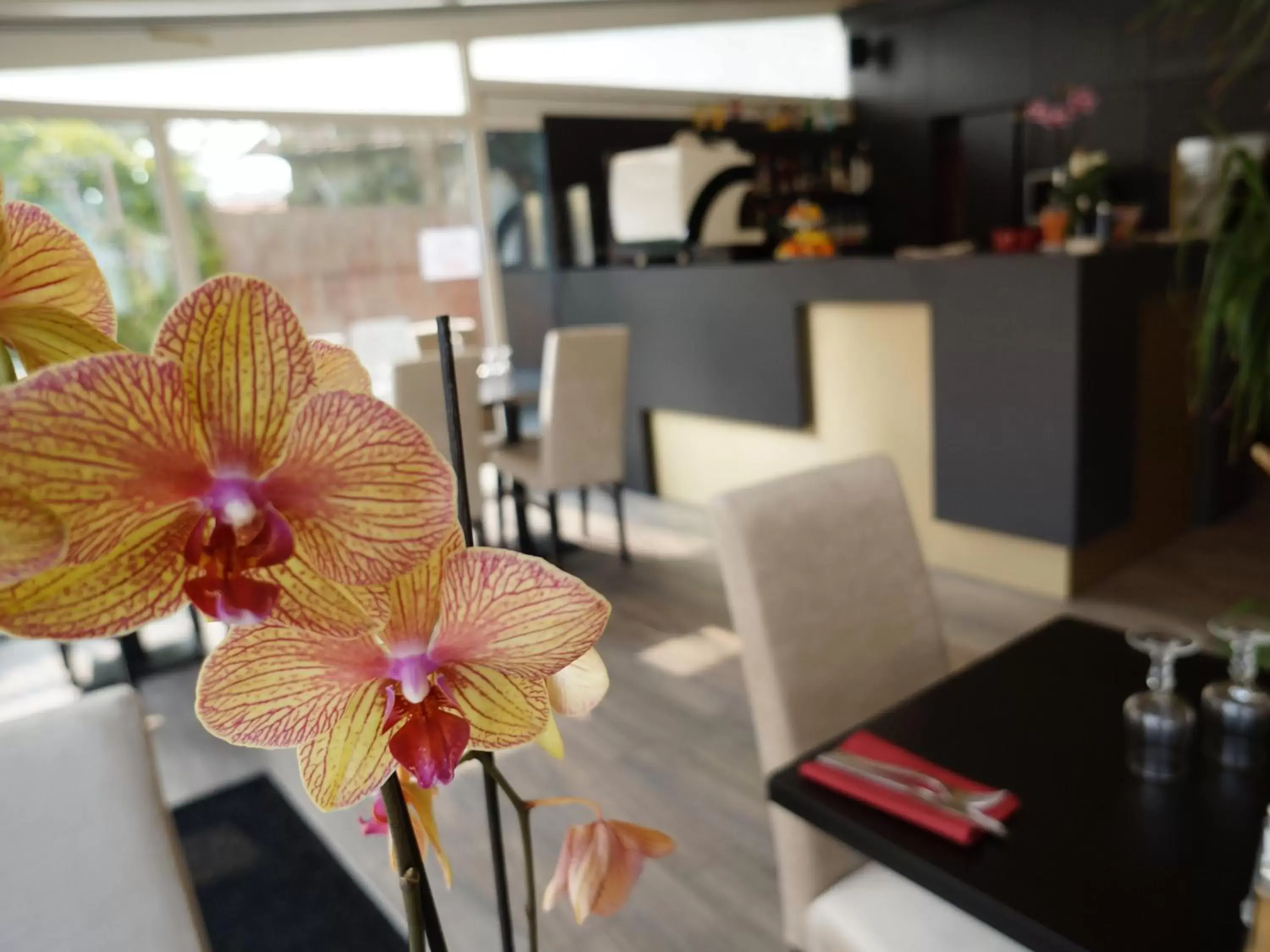 Dining area, Restaurant/Places to Eat in Hotel et Studios Le Marina Baie de La Baule