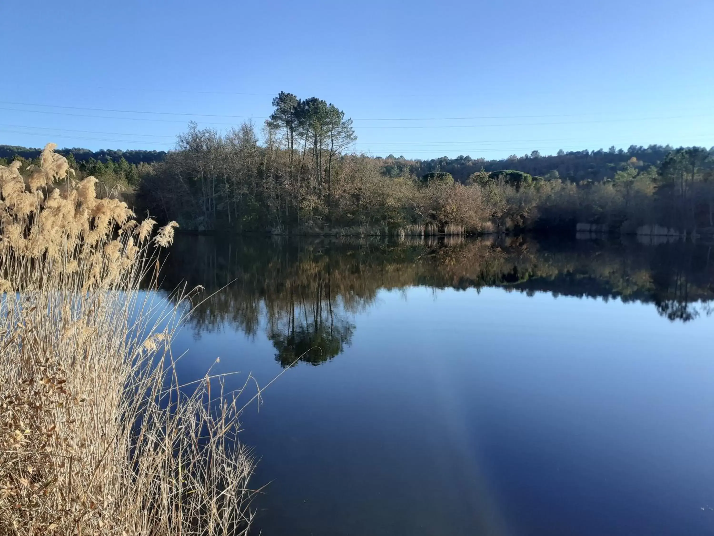 La Salamandre en Provence