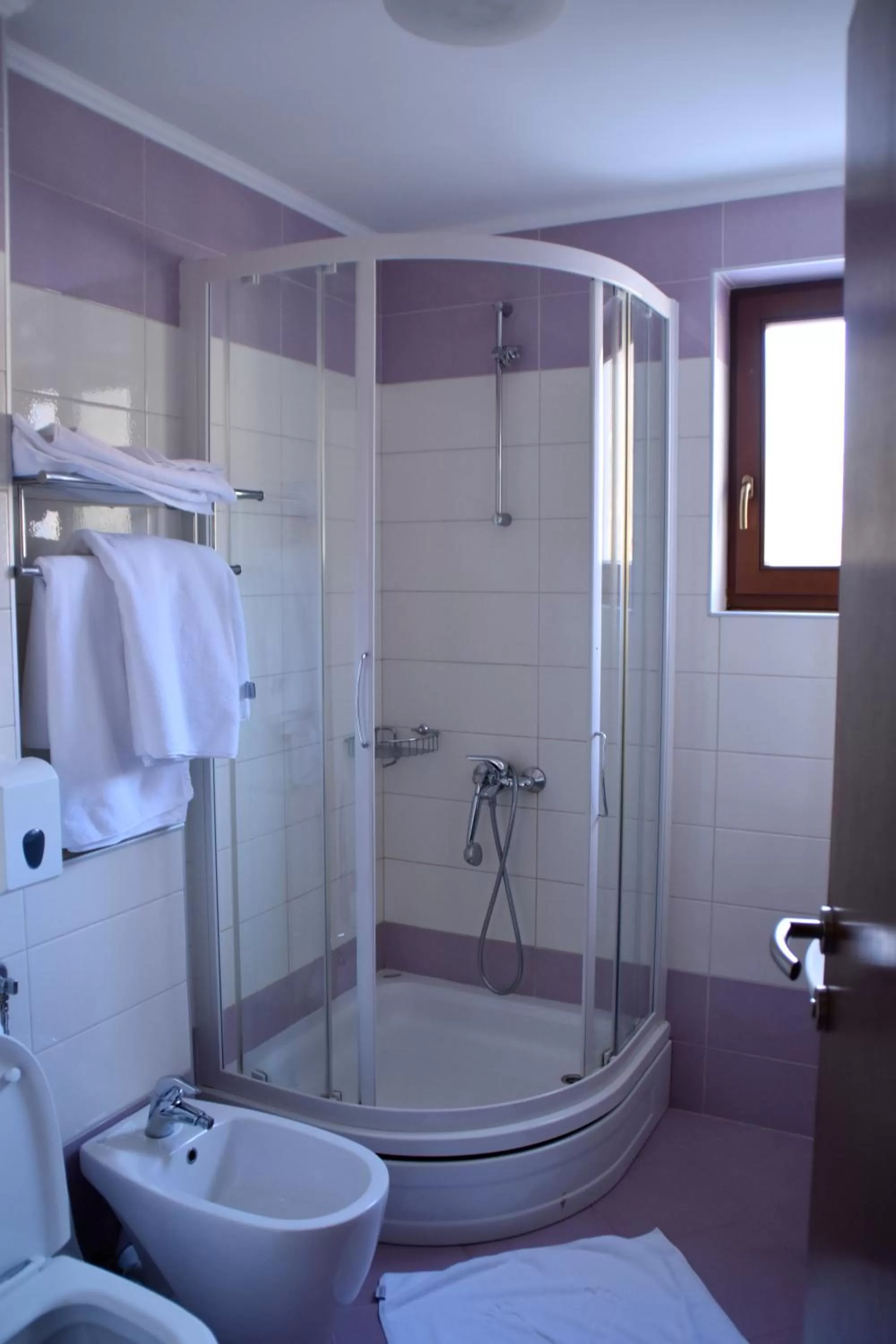 Bathroom in Hotel Millennium