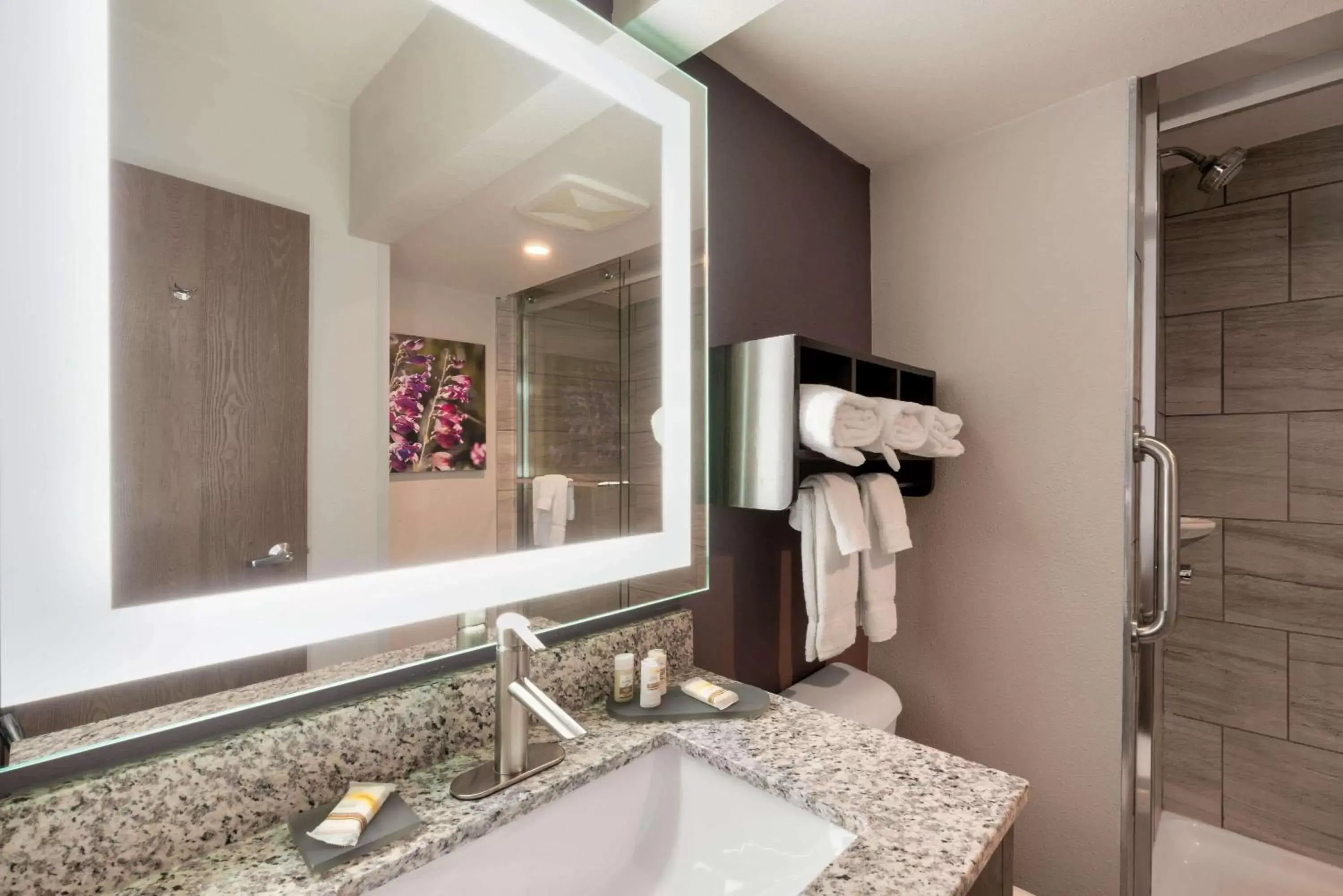 Bathroom in La Quinta by Wyndham Glenwood Springs