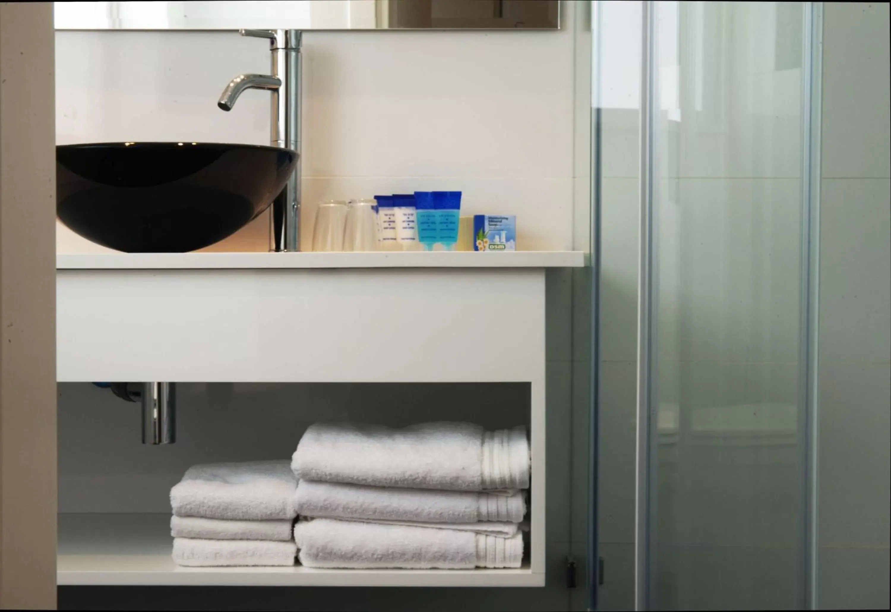 Bathroom in Best Western Regency Suites