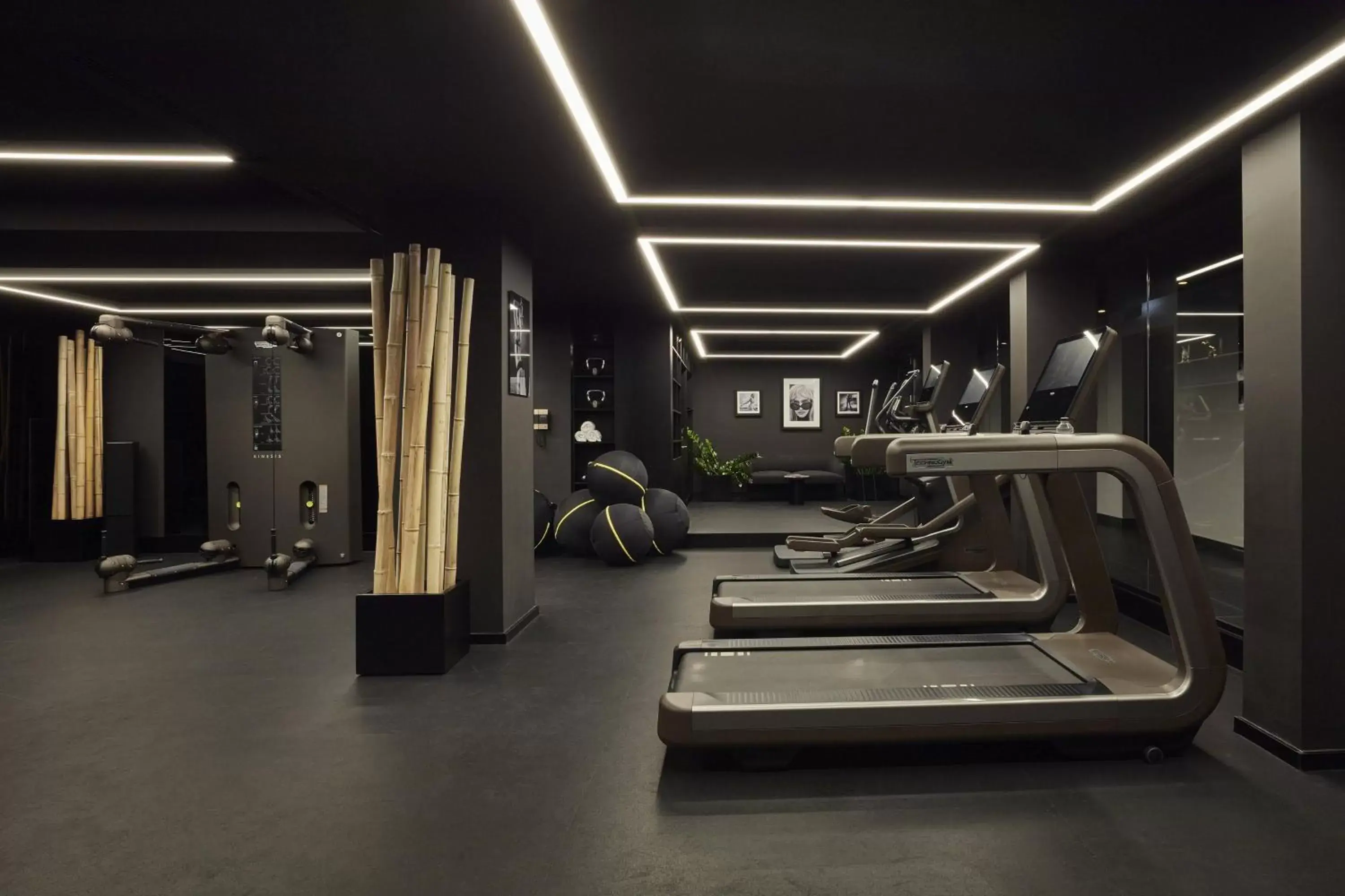 Fitness centre/facilities, Fitness Center/Facilities in Roomers Munich, Autograph Collection