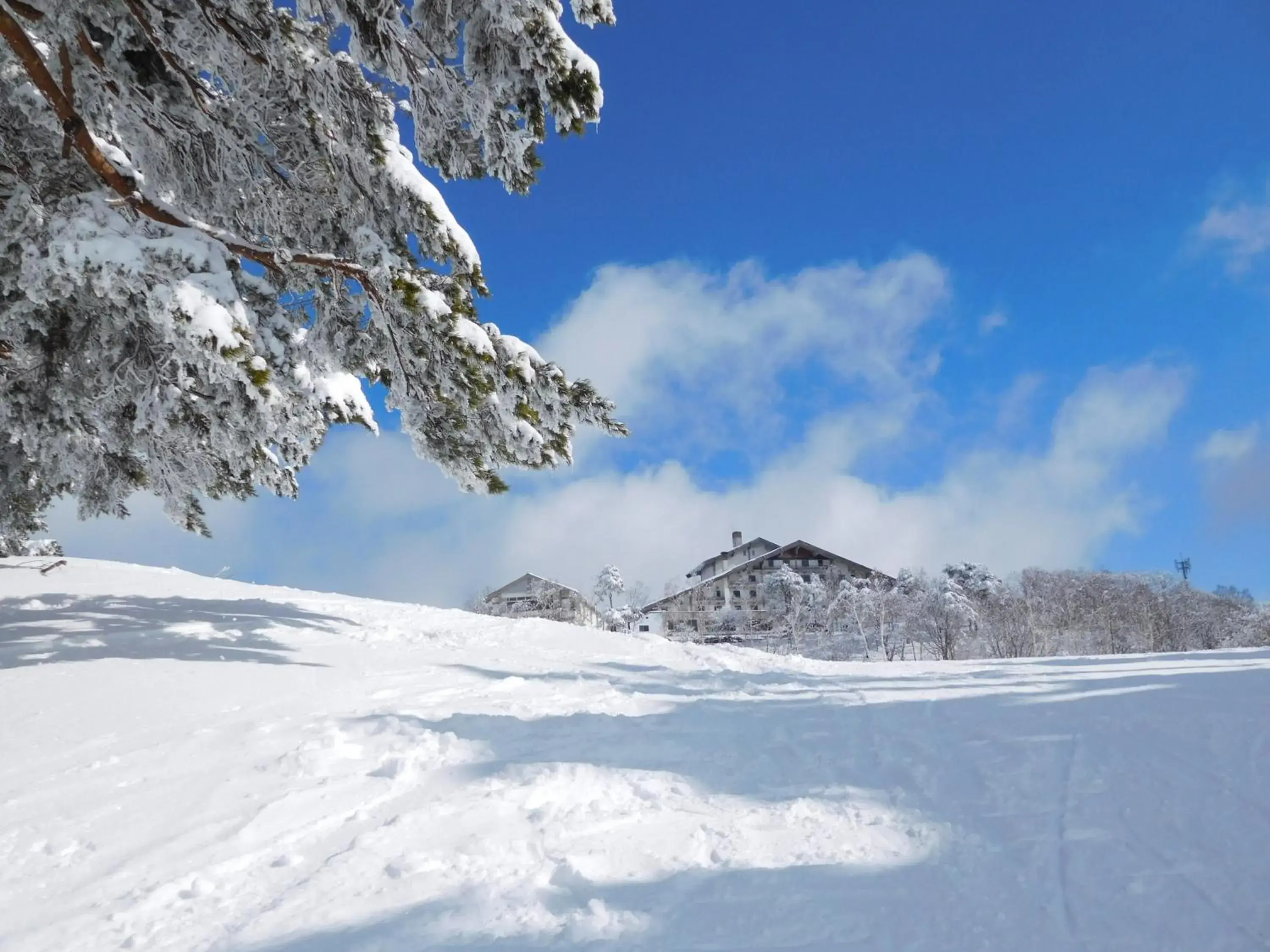 Winter in Madarao Elm Pension