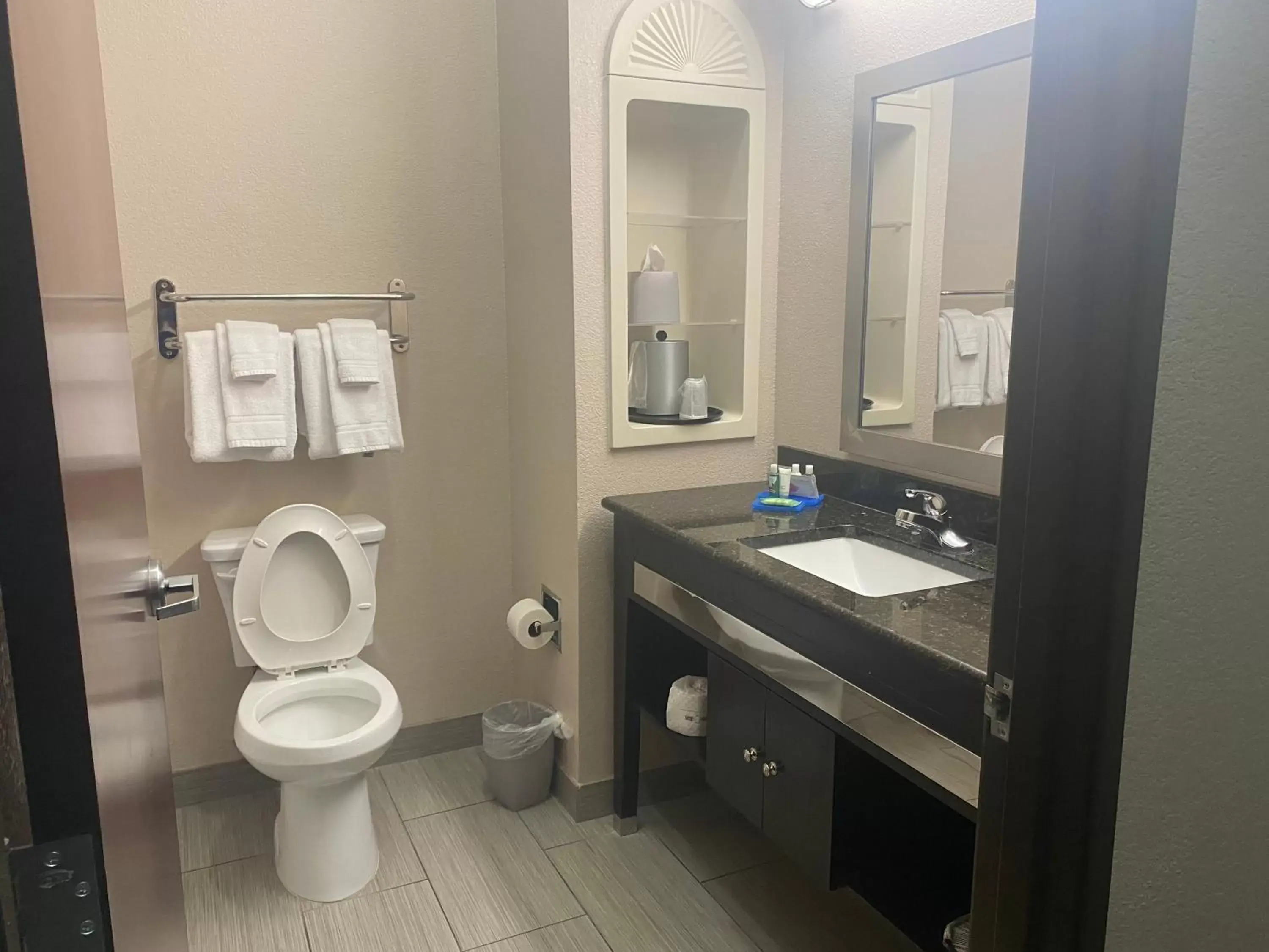 Bathroom in Holiday Inn Express Hotel and Suites Fort Stockton, an IHG Hotel