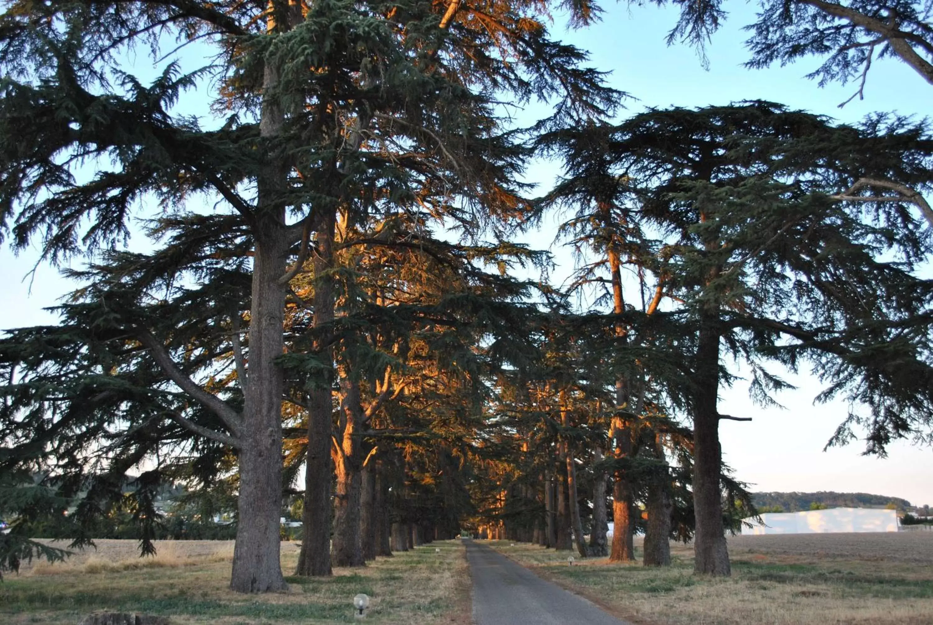 Facade/entrance in Logis Château Saint Marcel