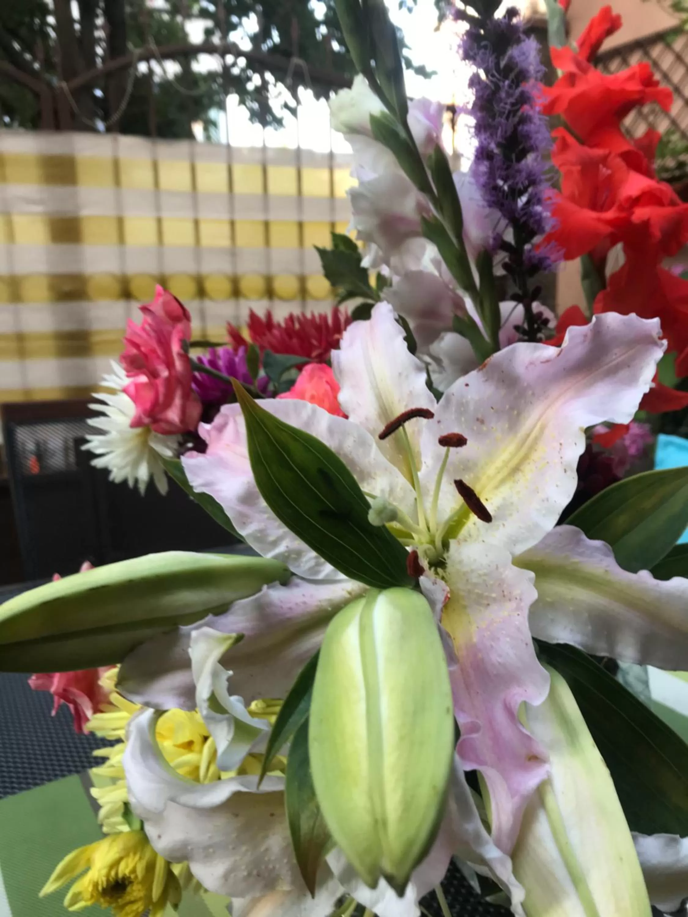 Garden in White Rose Guest Rooms