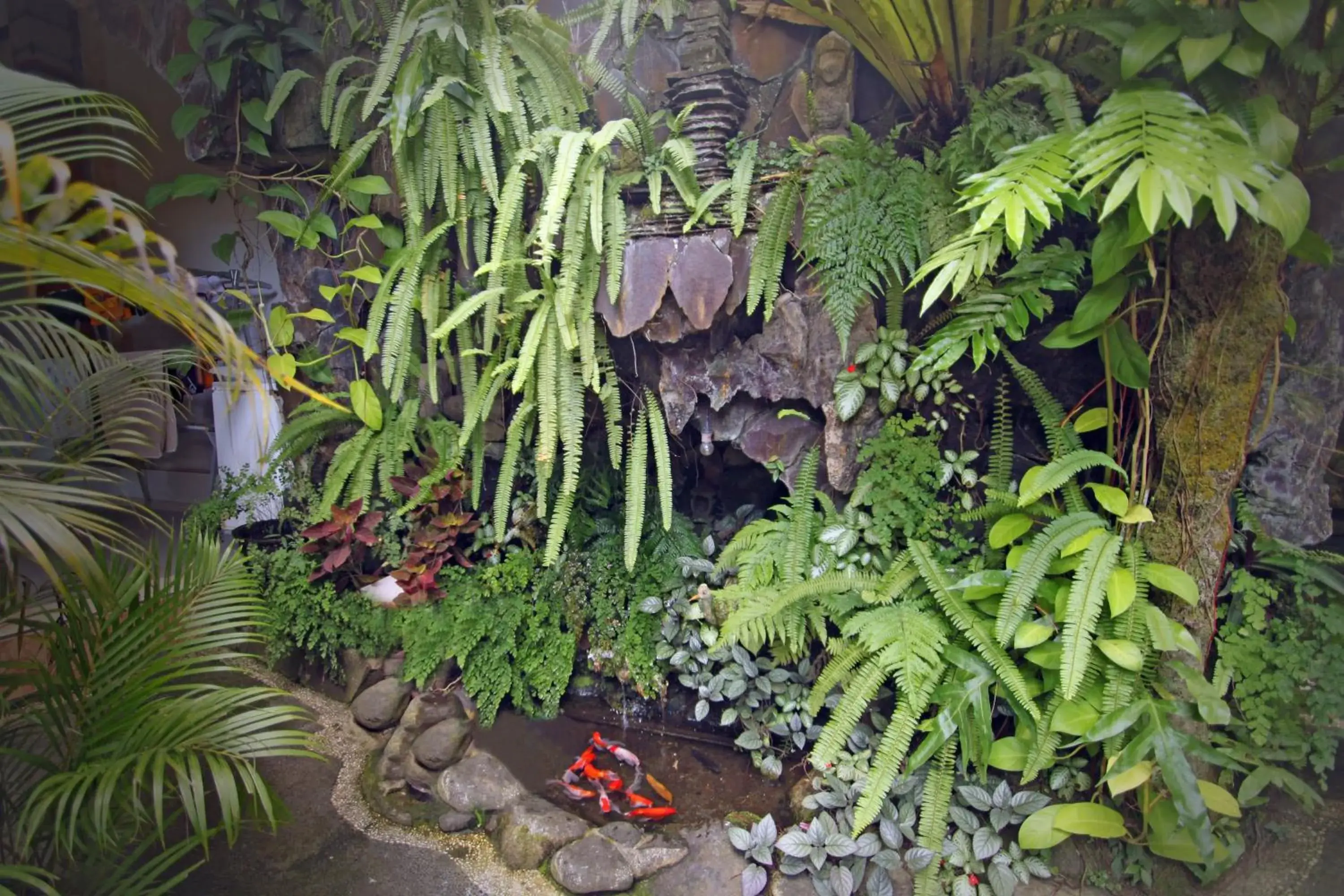 Garden in Praety Home Stay