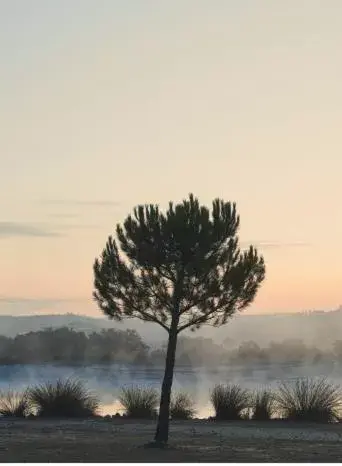 Lake view in L'AND Vineyards