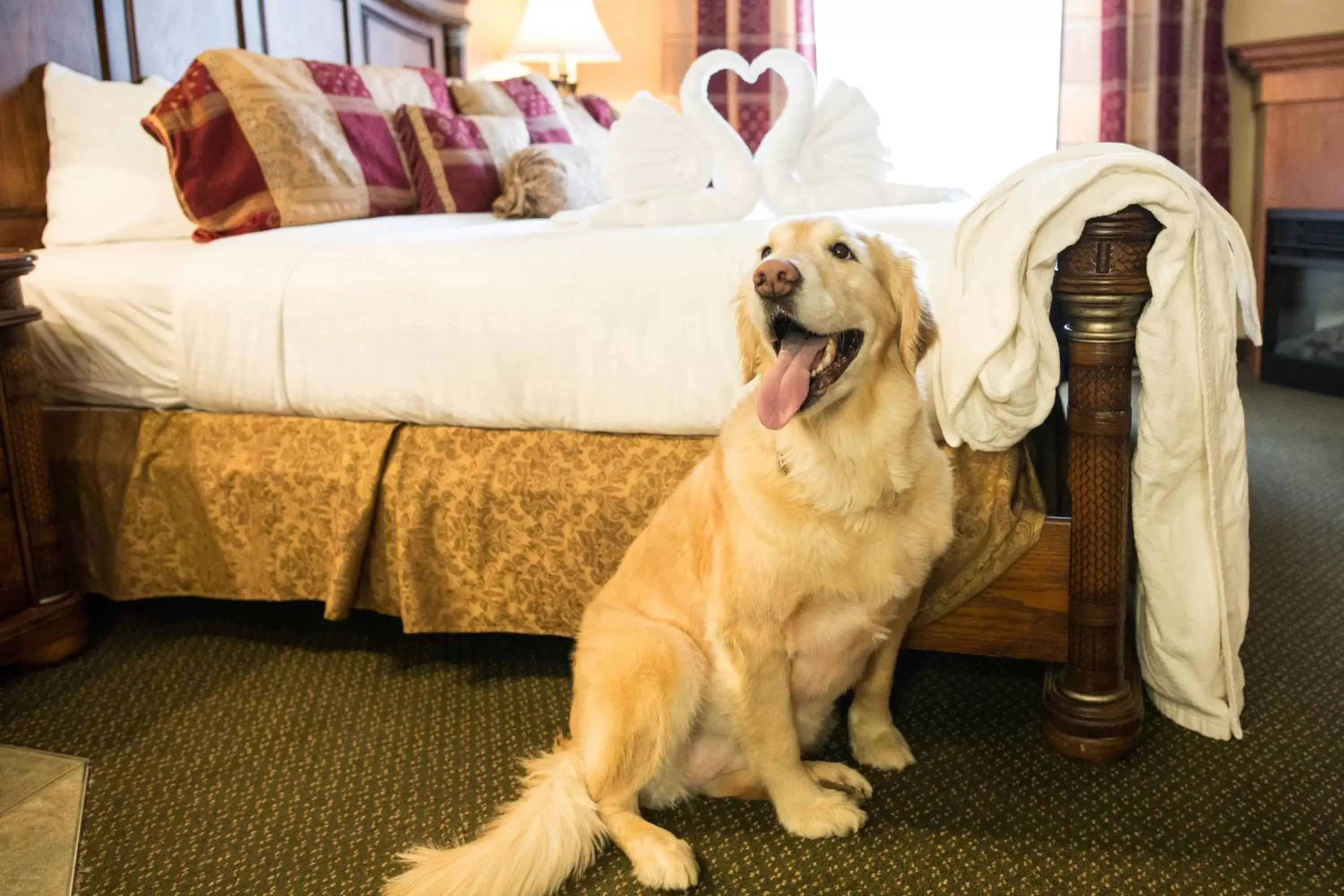 Pets in Merit Hotel & Suites