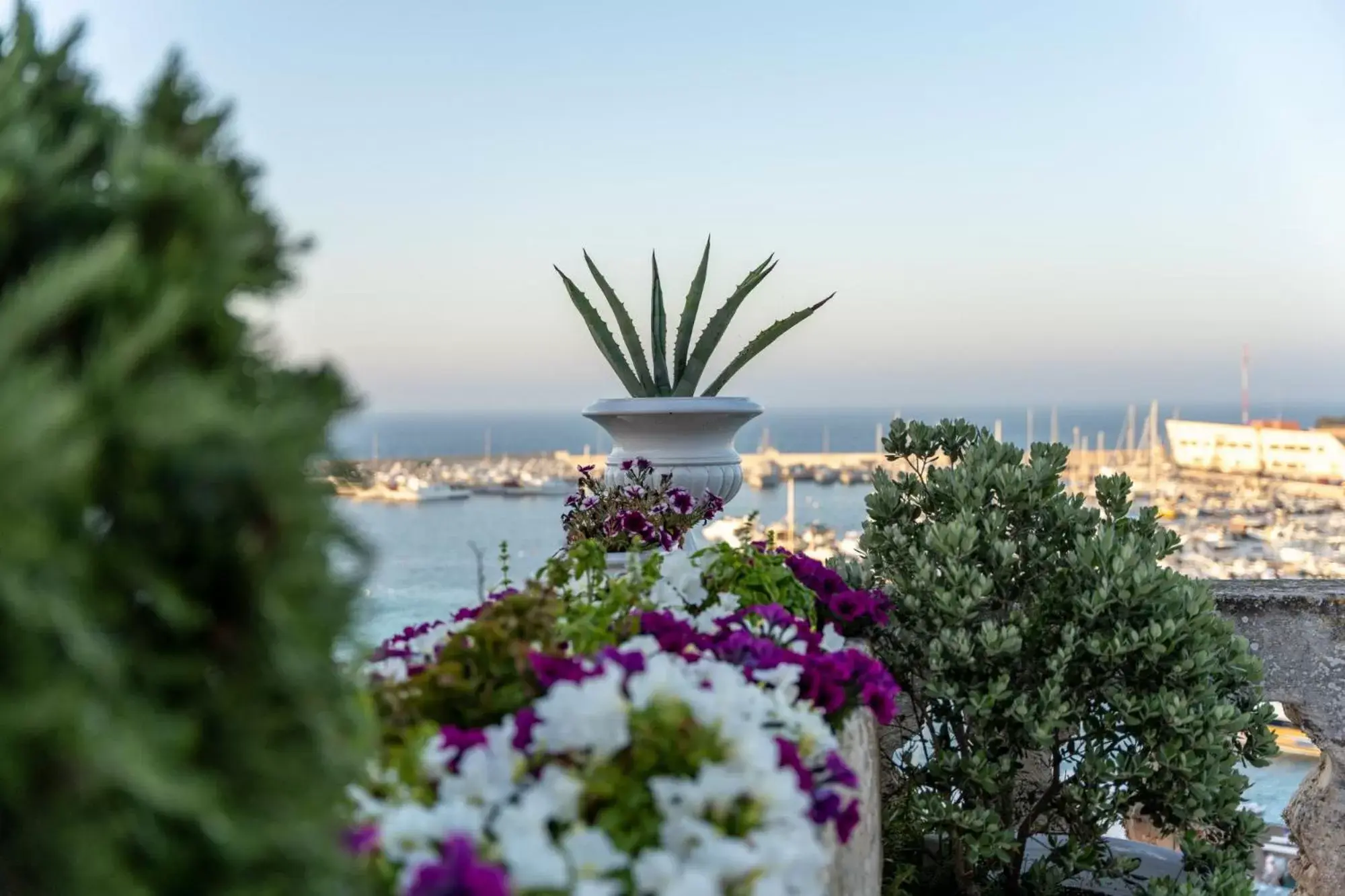 Balcony/Terrace, Sea View in Palazzo De Mori