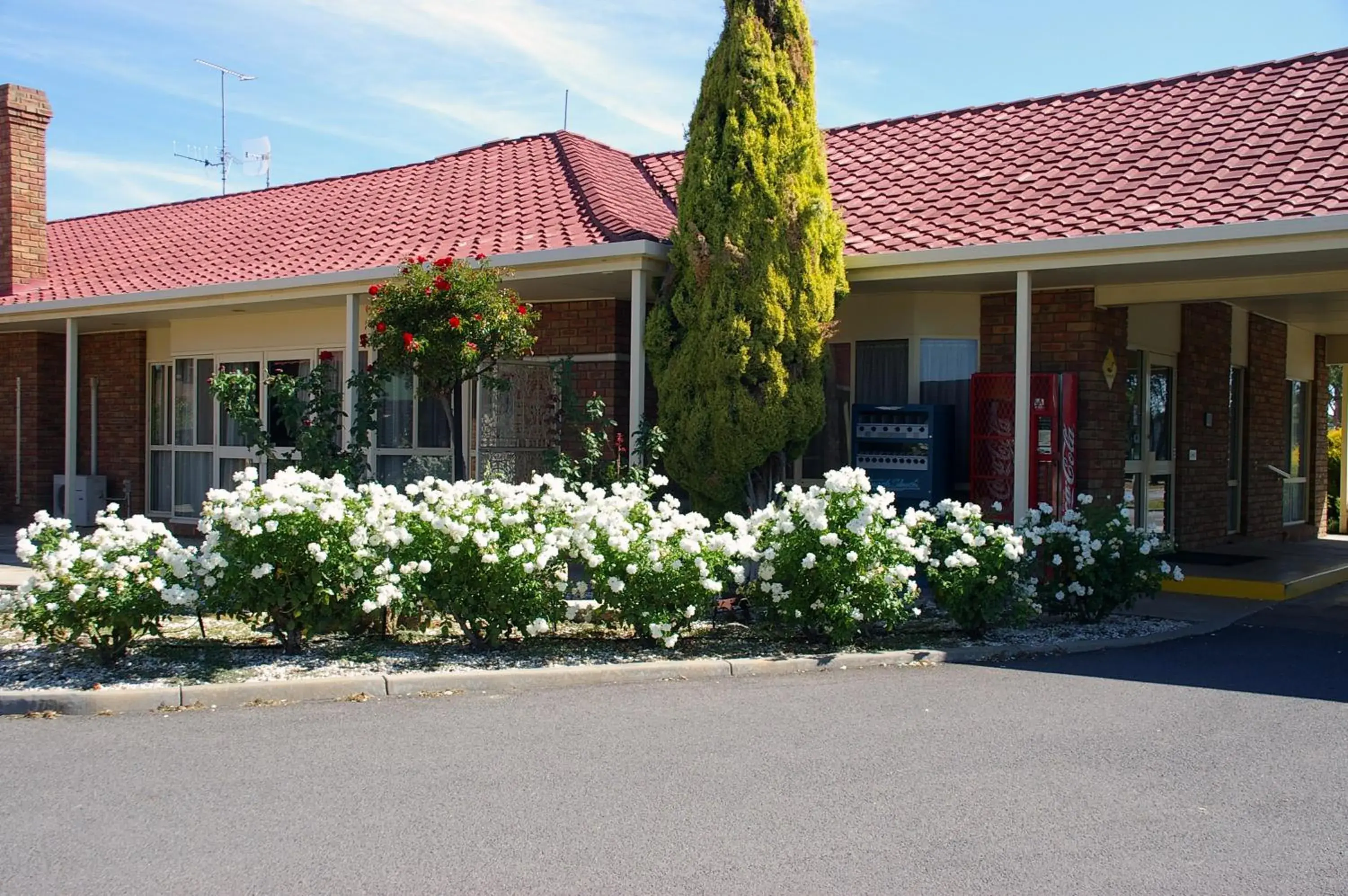 Day, Property Building in Pines Country Club Motor Inn