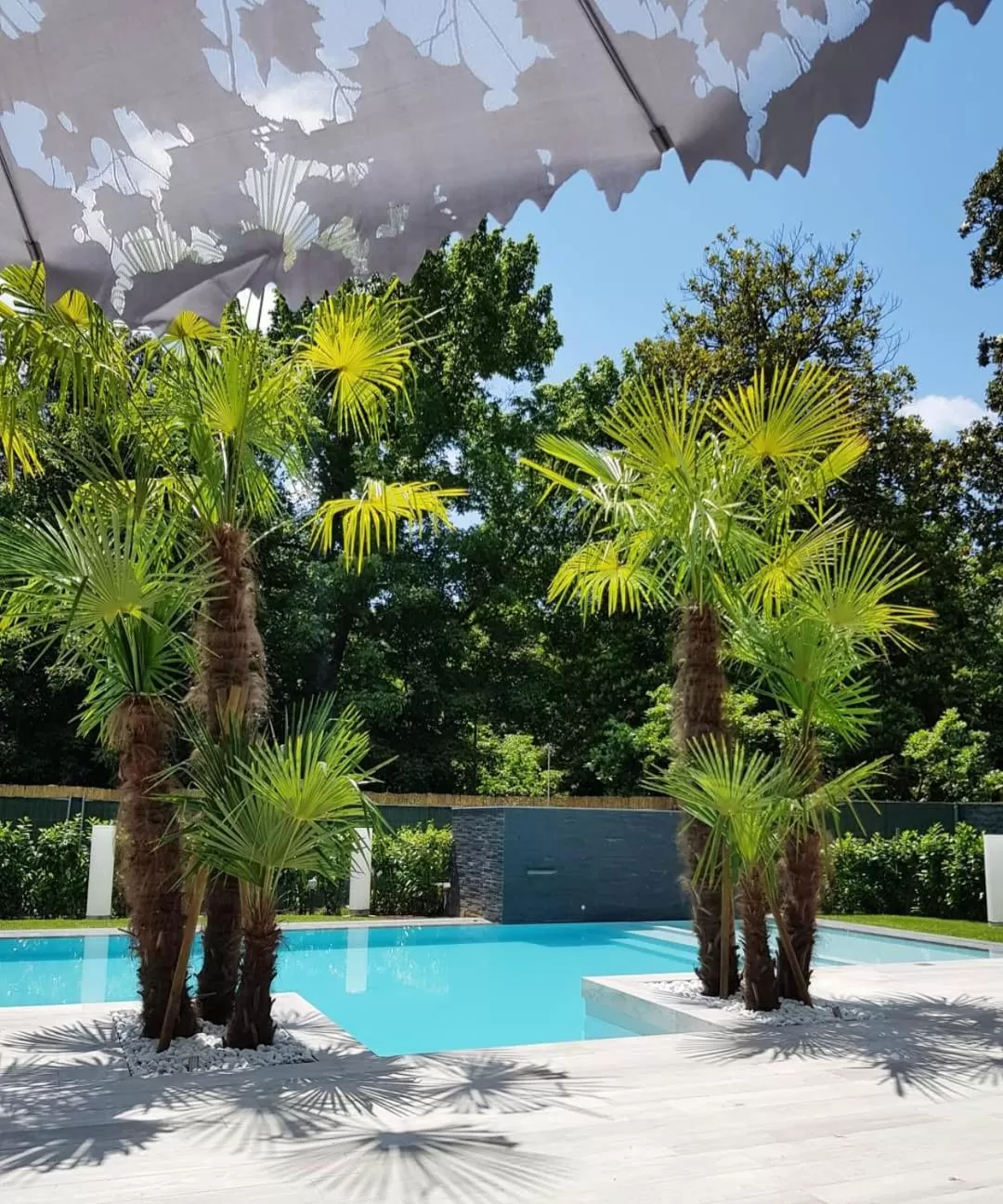 Swimming pool in Hotel Hambros - Il Parco in Villa Banchieri