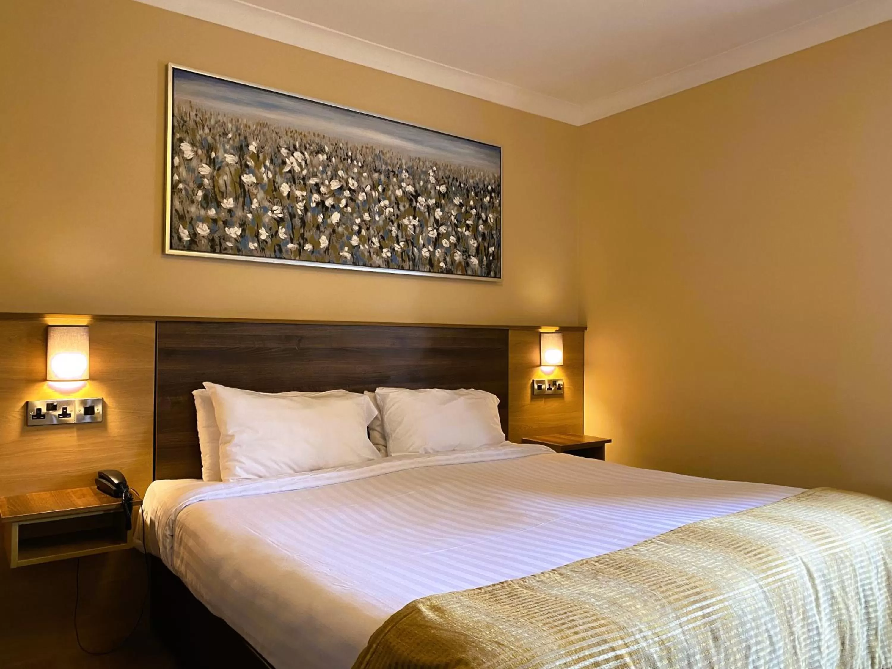 Bed in Hannon's Hotel