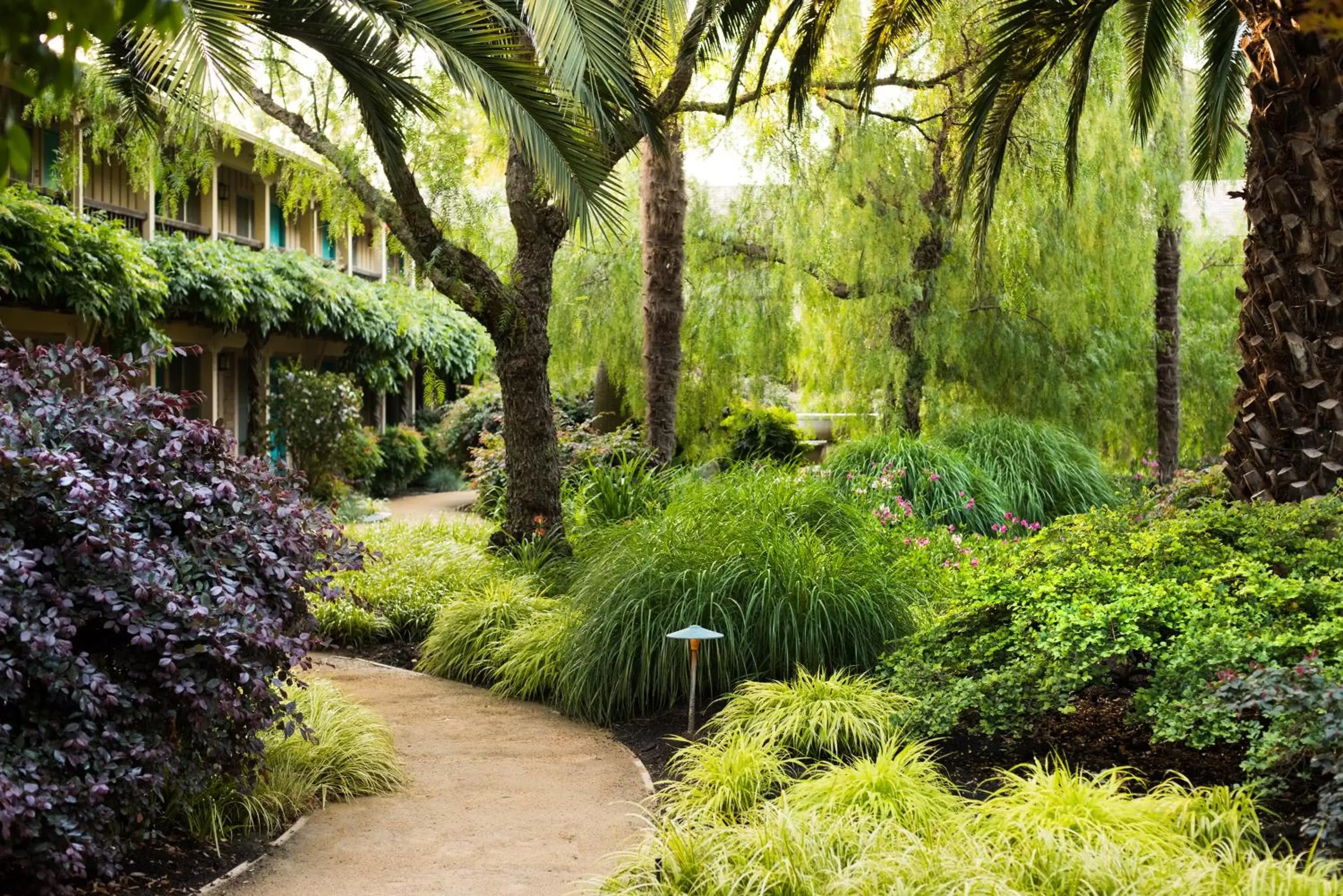 Garden in El Pueblo Inn