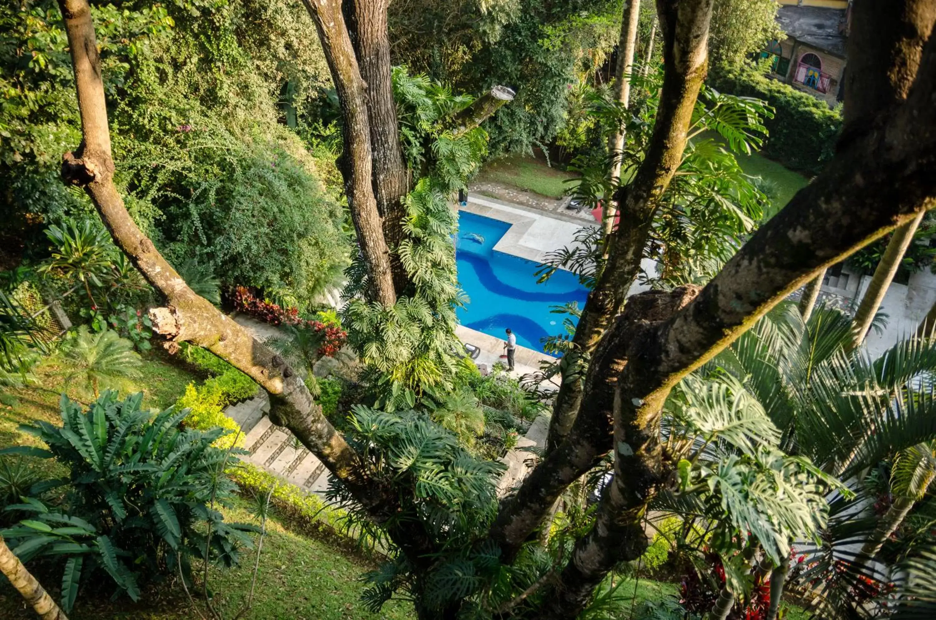 Pool view, Bird's-eye View in Comfort Inn Córdoba