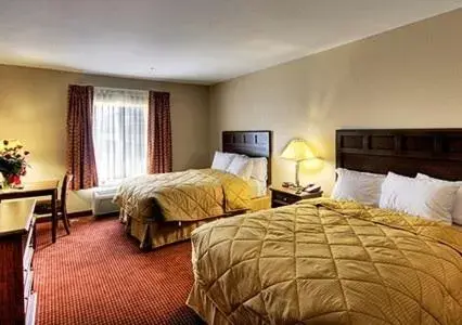 Queen Room with Two Queen Beds - Non-Smoking in Comfort Inn New Orleans Airport South