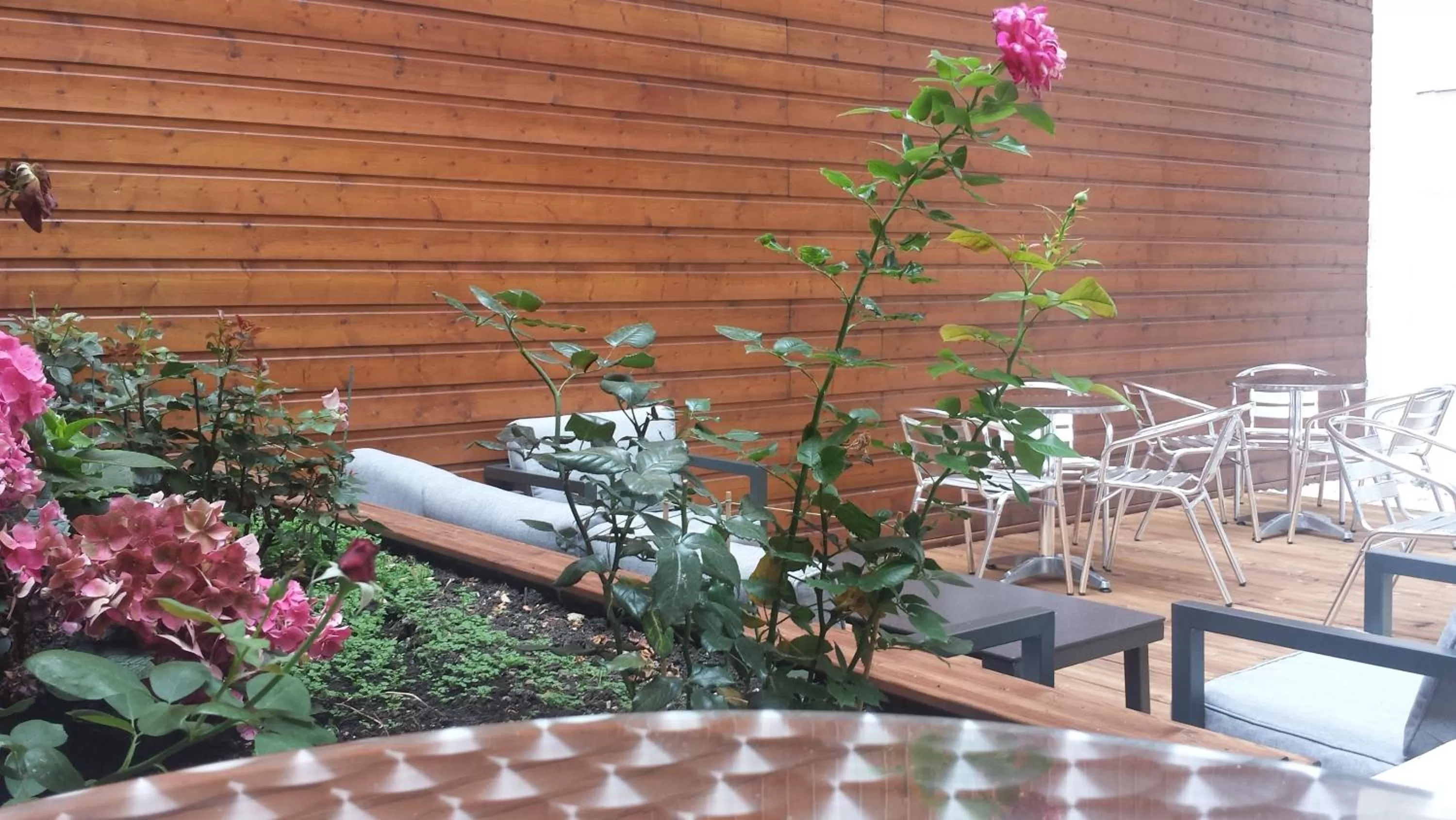 Balcony/Terrace in Mercure Paris Bastille Marais