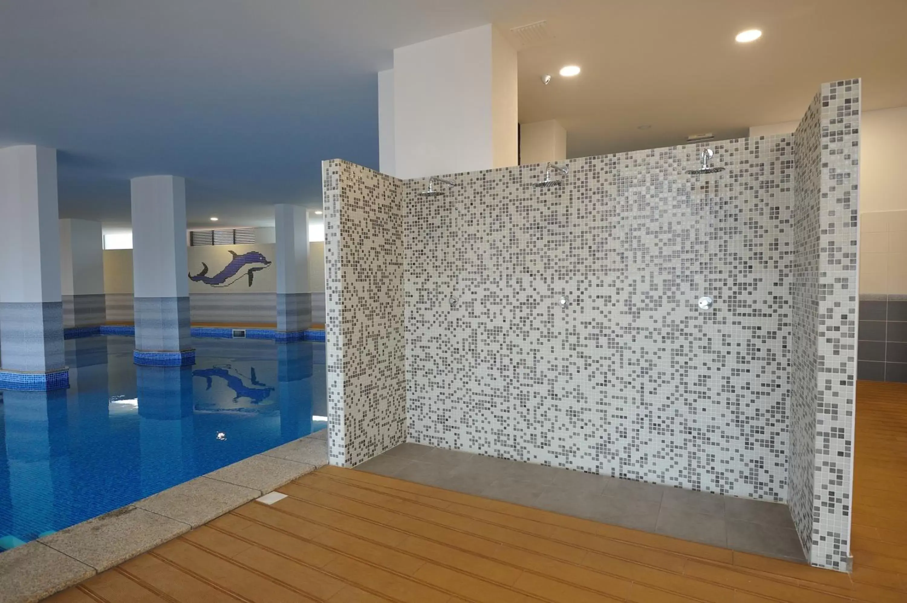 Activities, Swimming Pool in Oceano Atlantico Apartamentos Turisticos