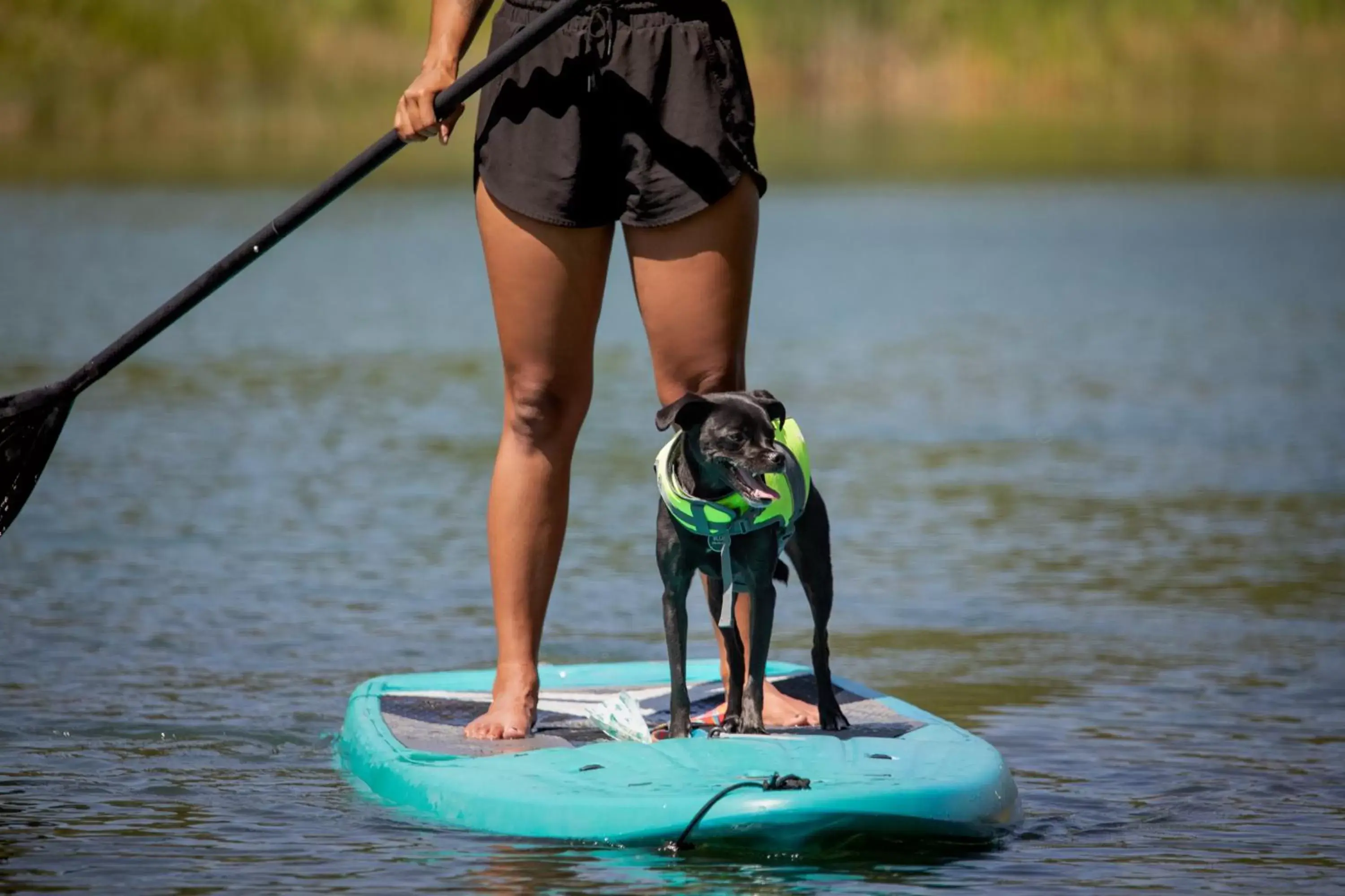 Activities in The Pine Lodge on Whitefish River, Ascend Hotel Collection