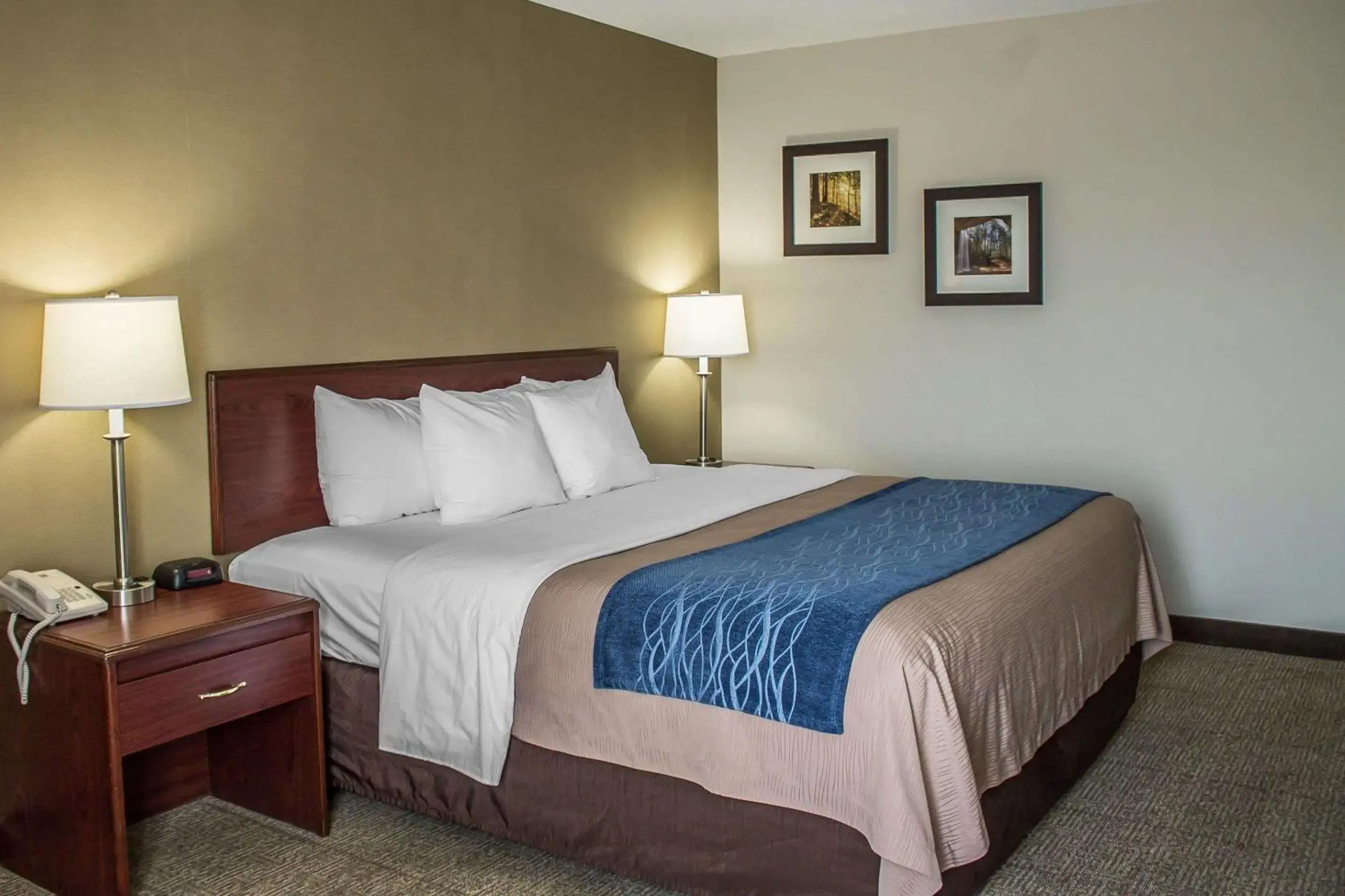 Bedroom, Bed in Comfort Inn