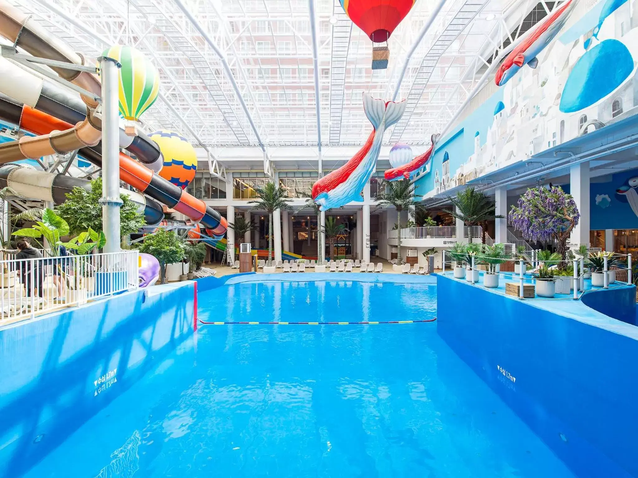 Swimming Pool in Hotel Park Habio