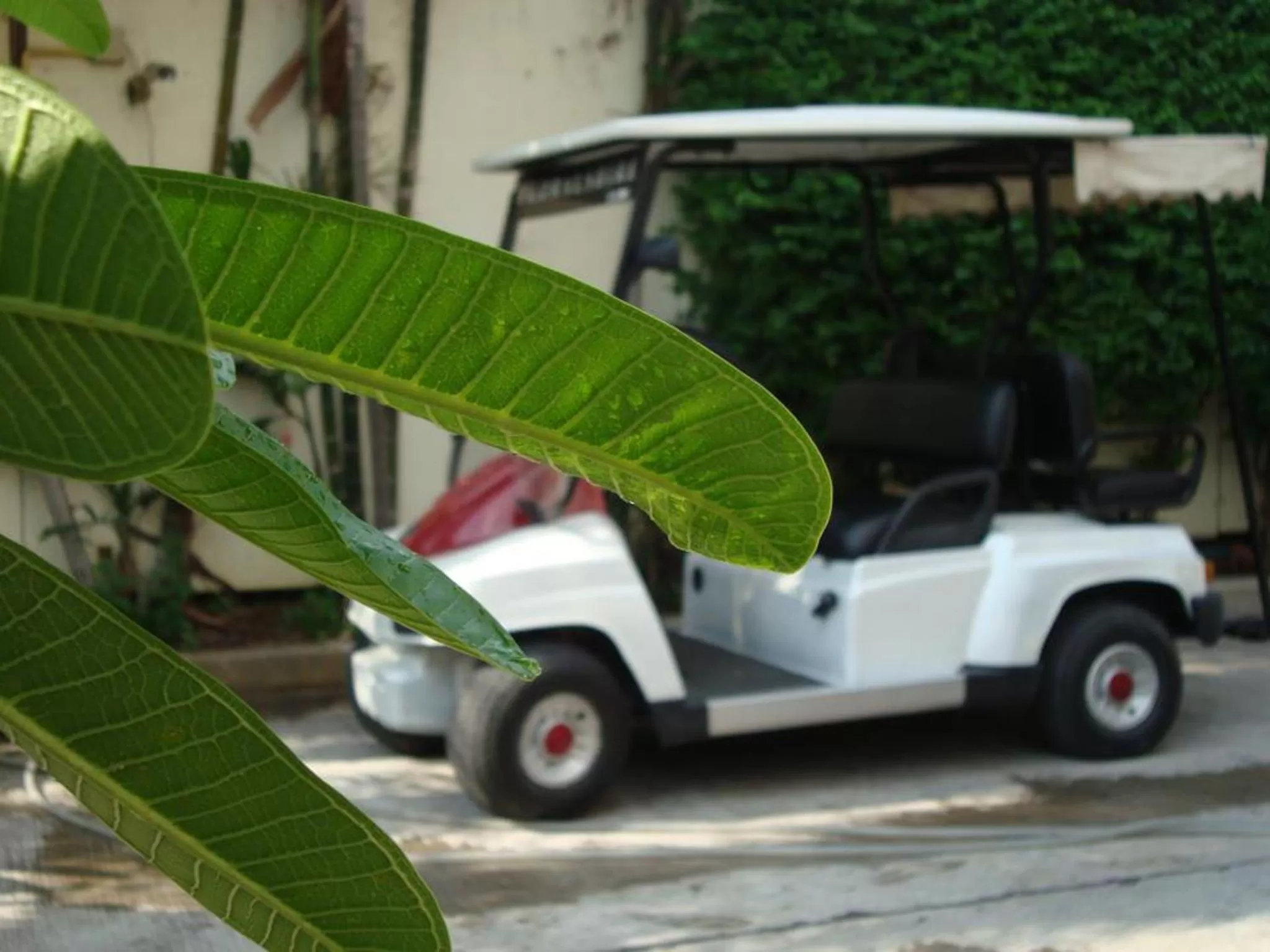 Other in Floral Shire Suvarnabhumi Airport