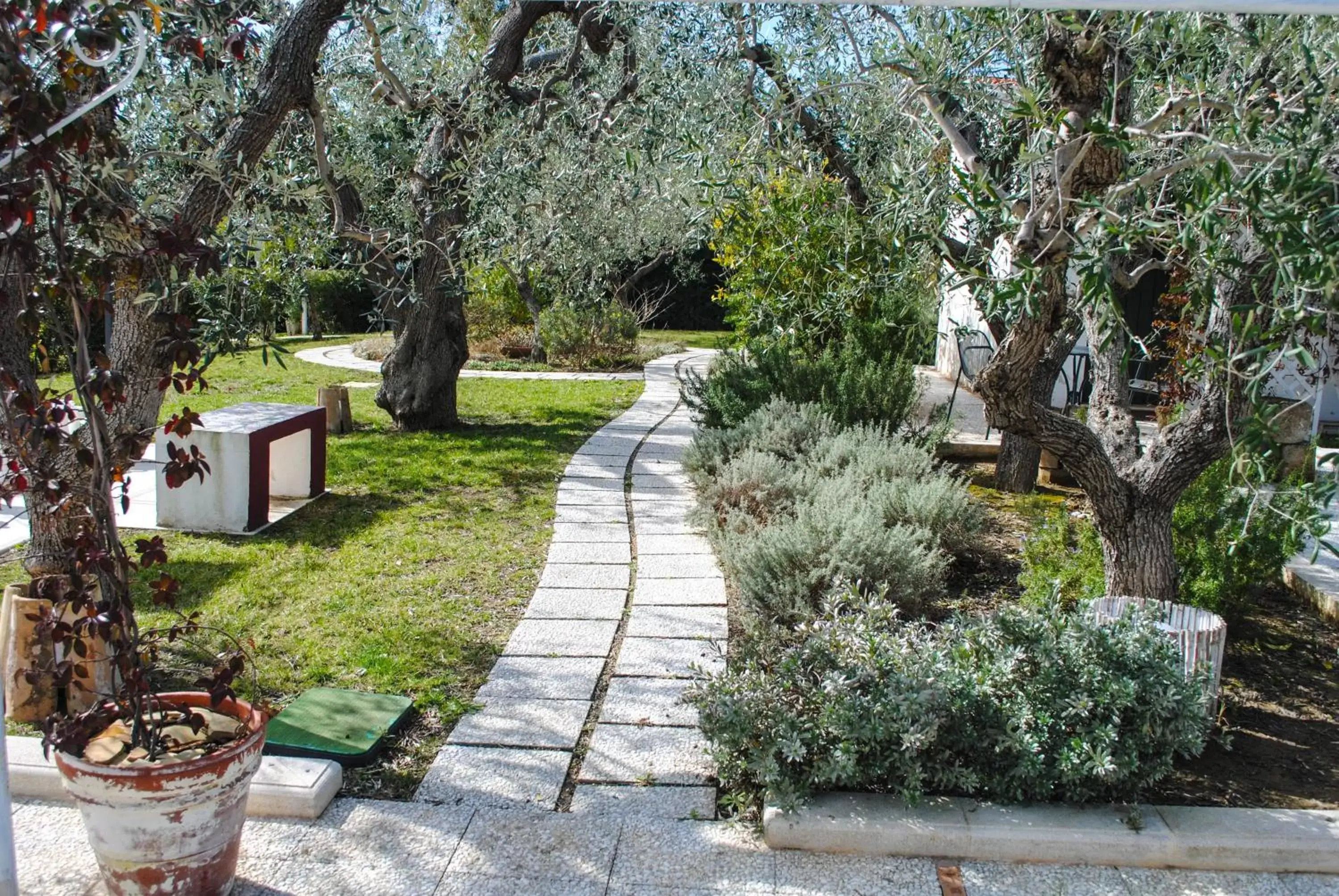 Garden in Hotel Giardino Giamperduto