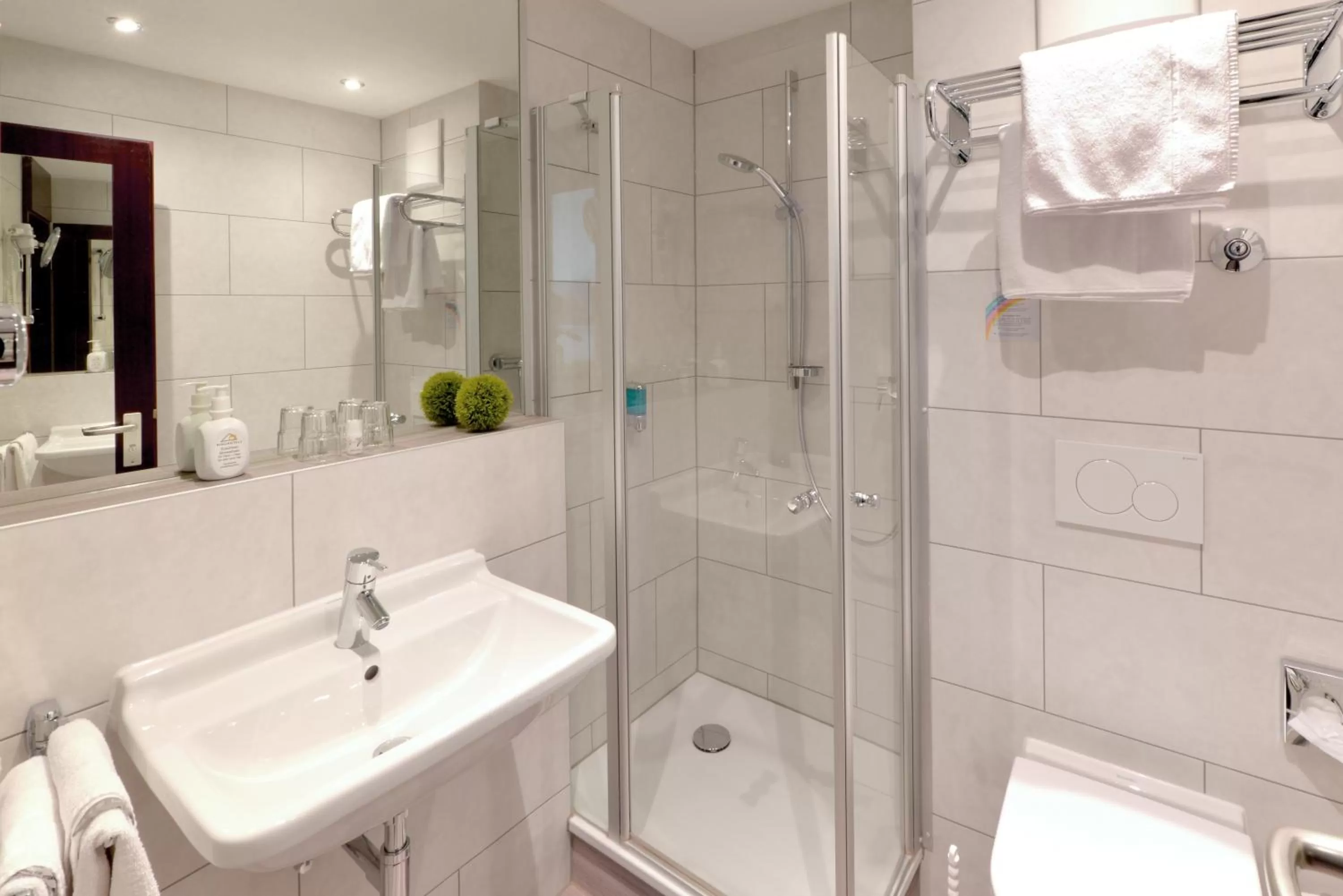 Shower in Ringhotel Loew's Merkur