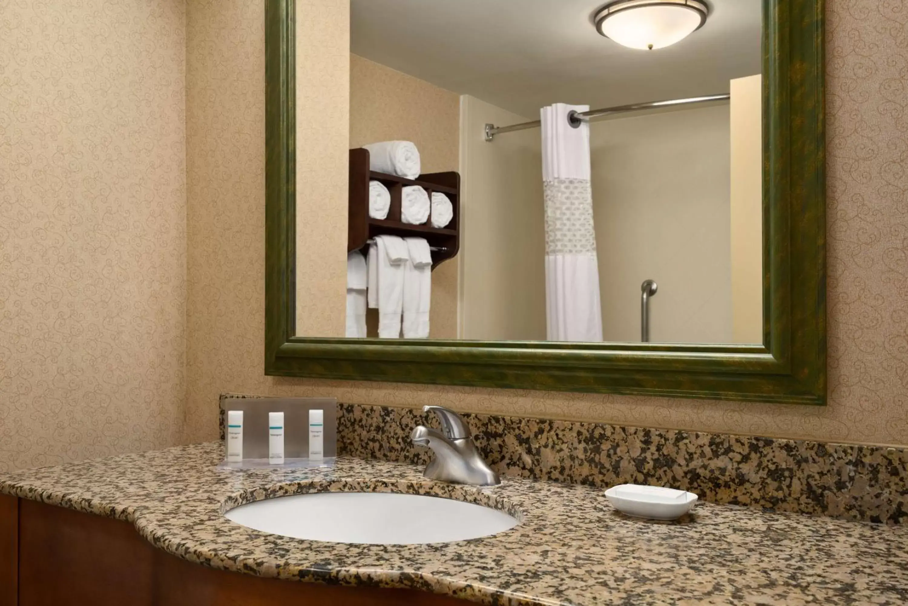 Bathroom in Hampton Inn & Suites Williamsburg-Central