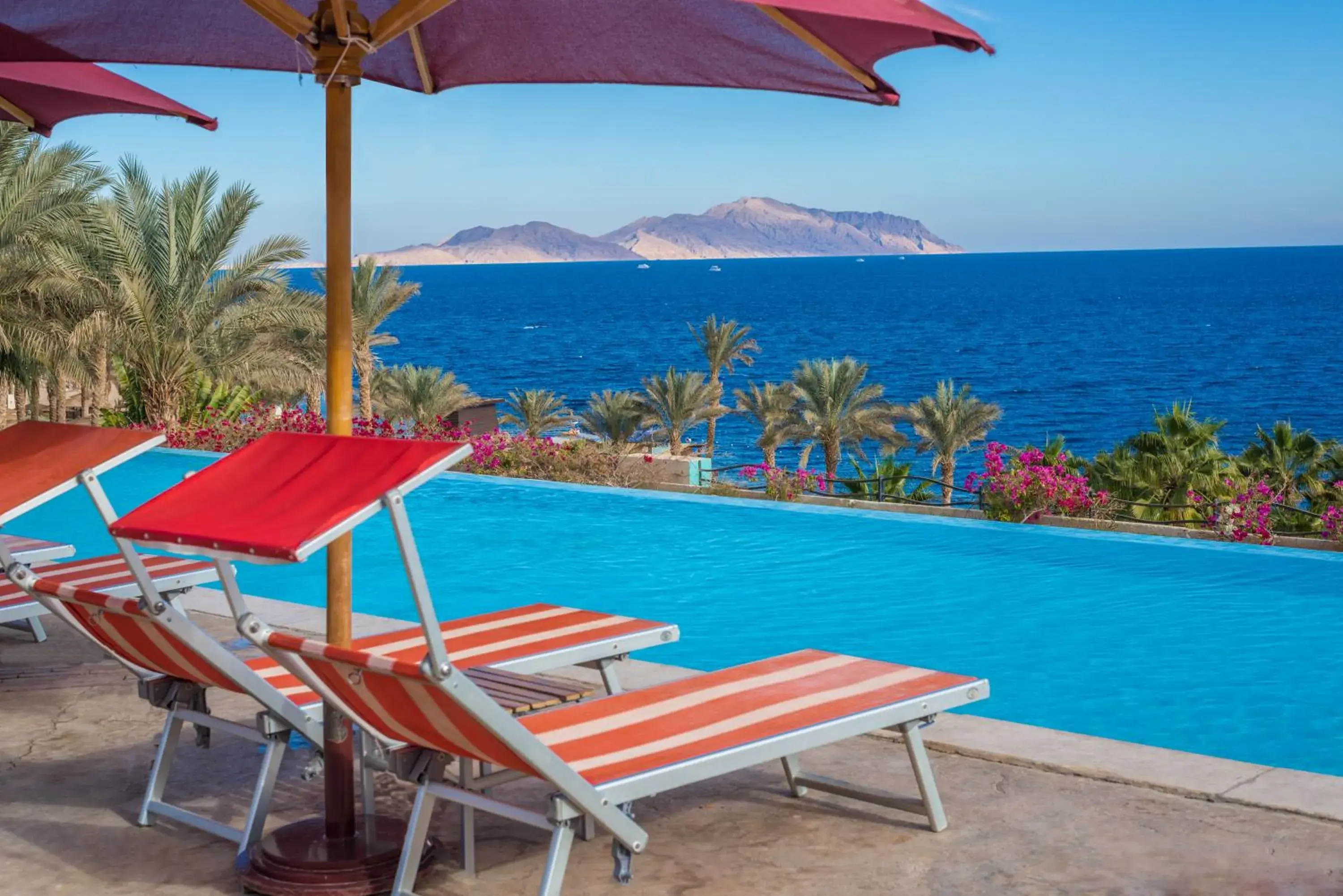 Pool view, Swimming Pool in Grand Rotana Resort & Spa