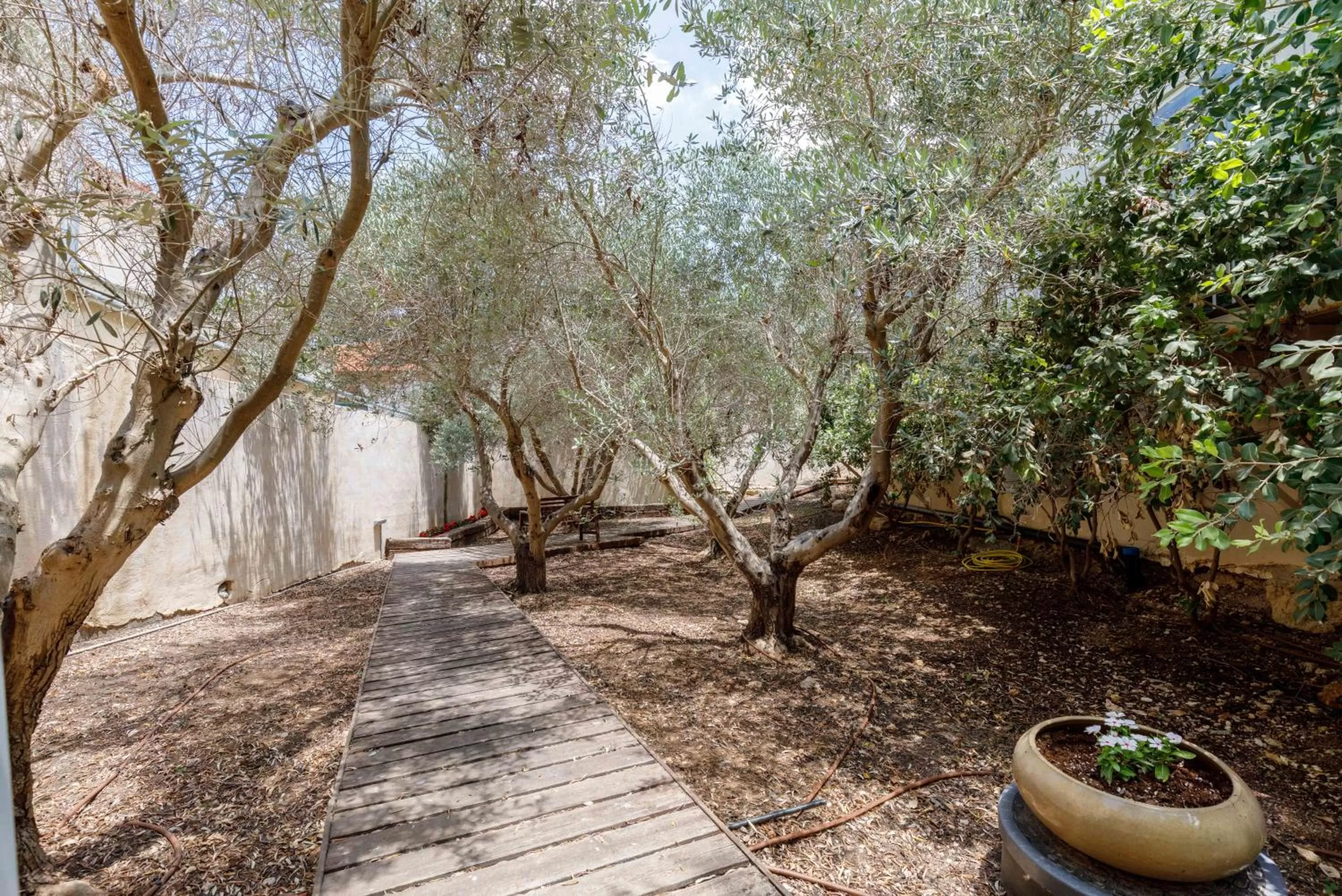 Natural landscape in Smadar Inn