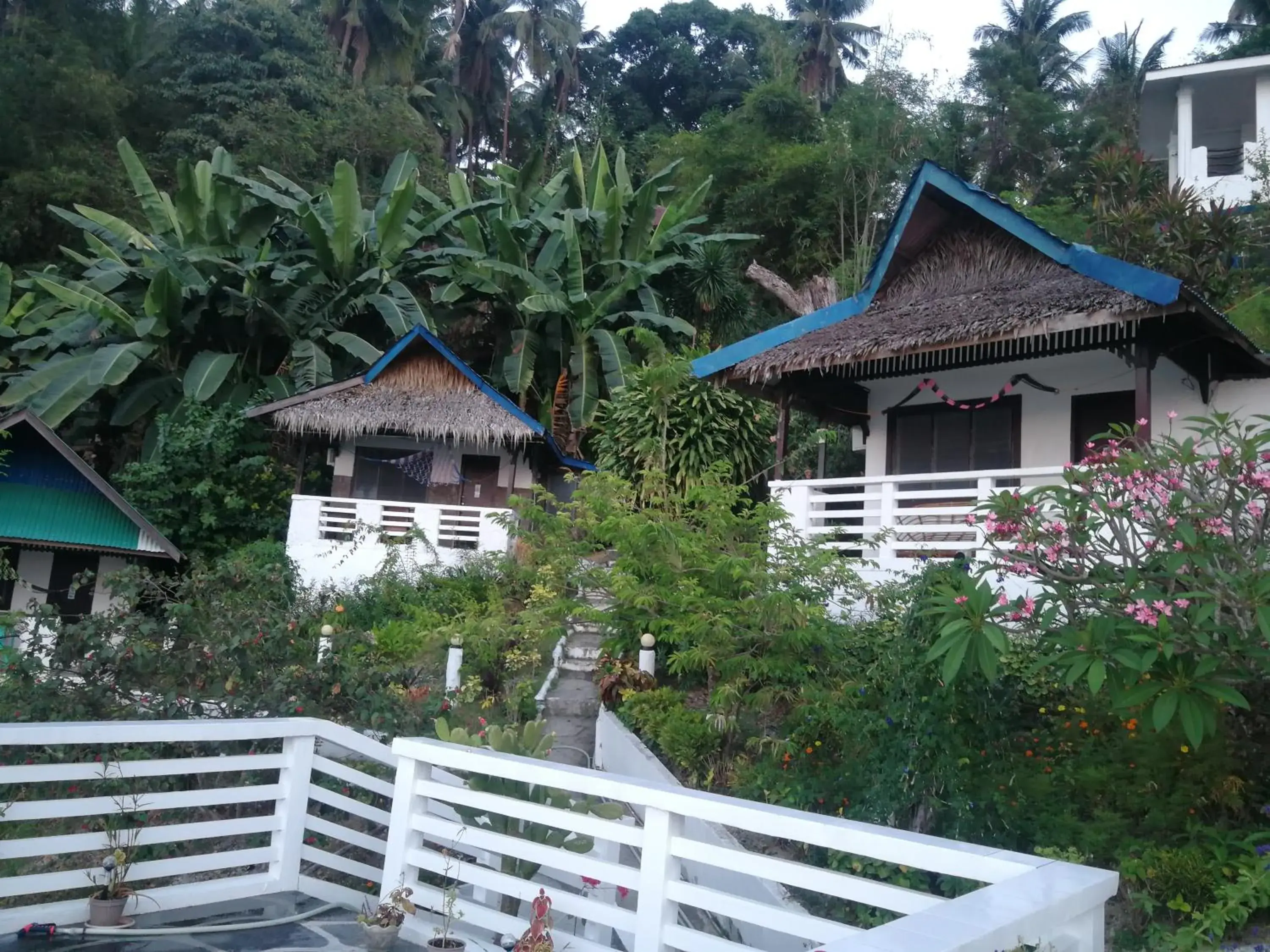 Mountain view, Property Building in Bellevue Resort