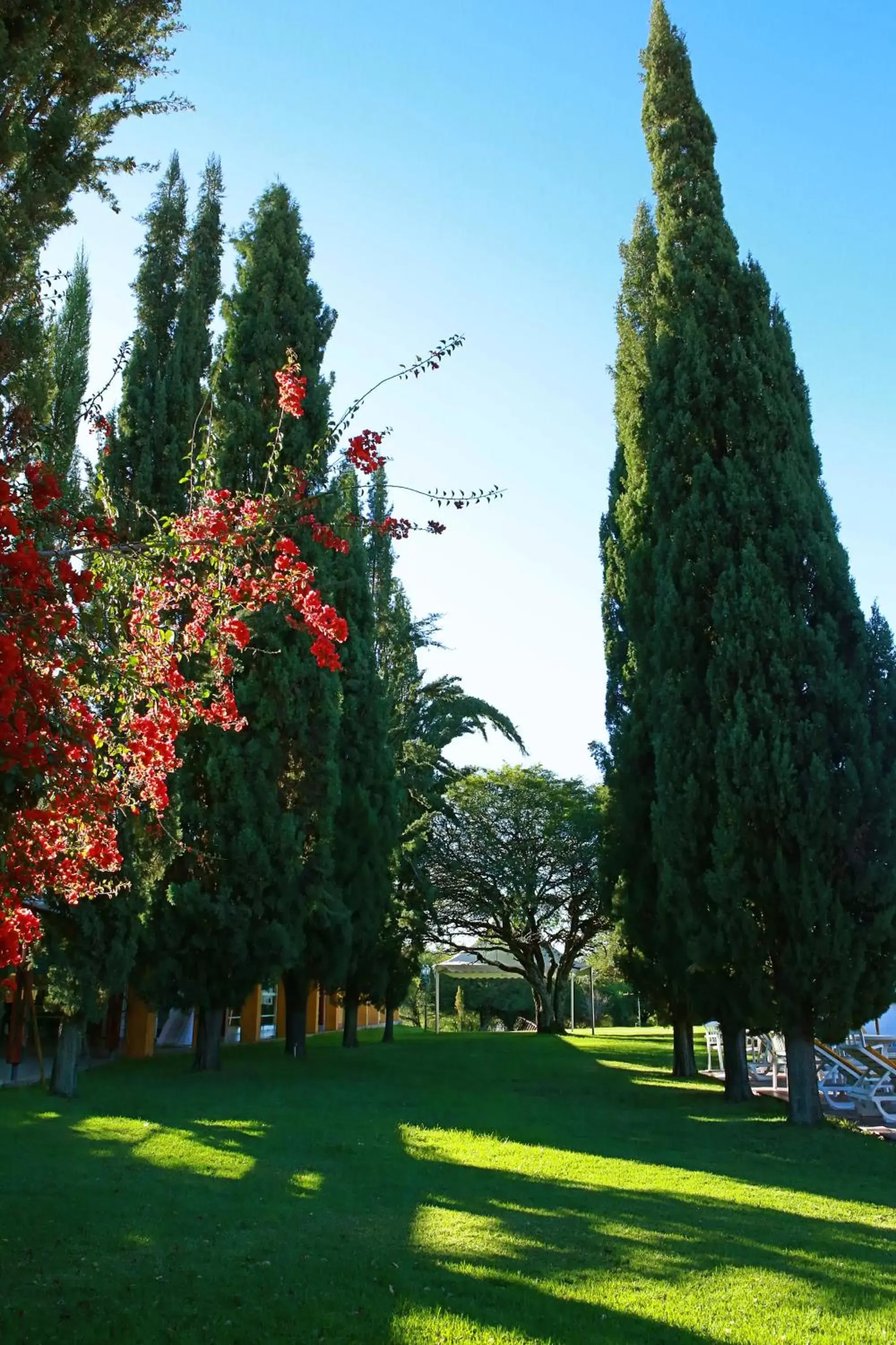 Garden in Hotel Los Parrales