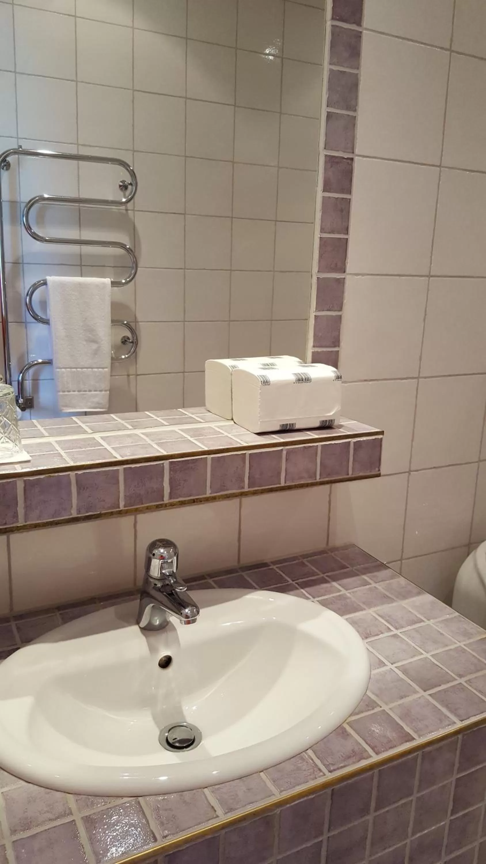 Bathroom in Dagsholm Hotell