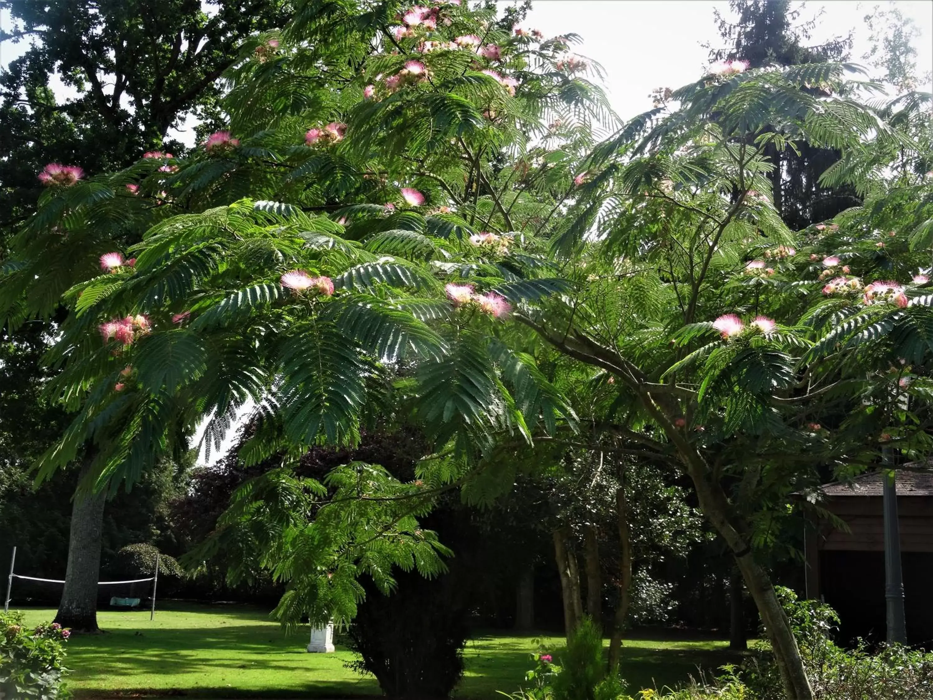 Garden in Villa La Clef Des Champs