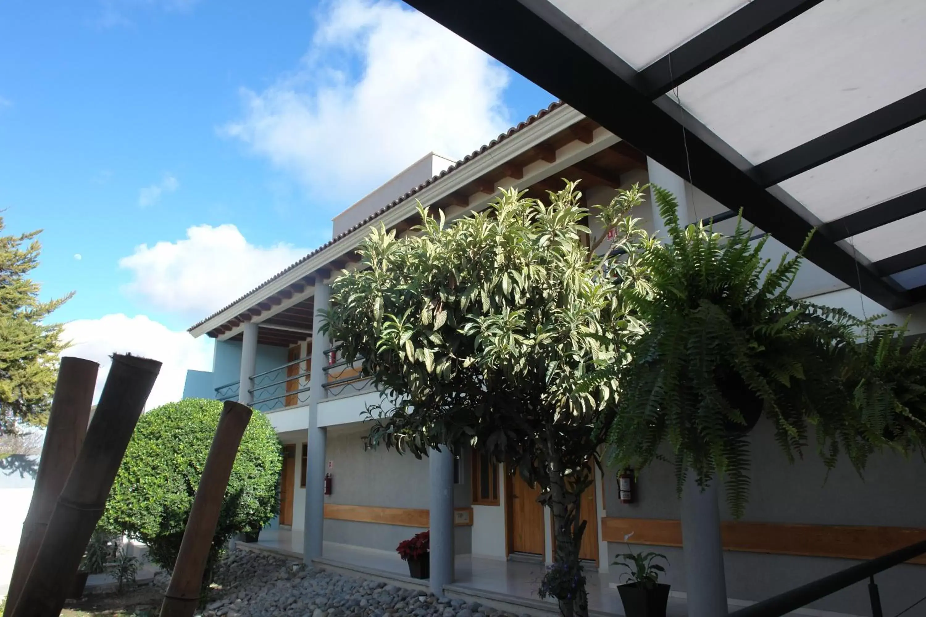 Garden view, Property Building in Hotel Casa Caelum