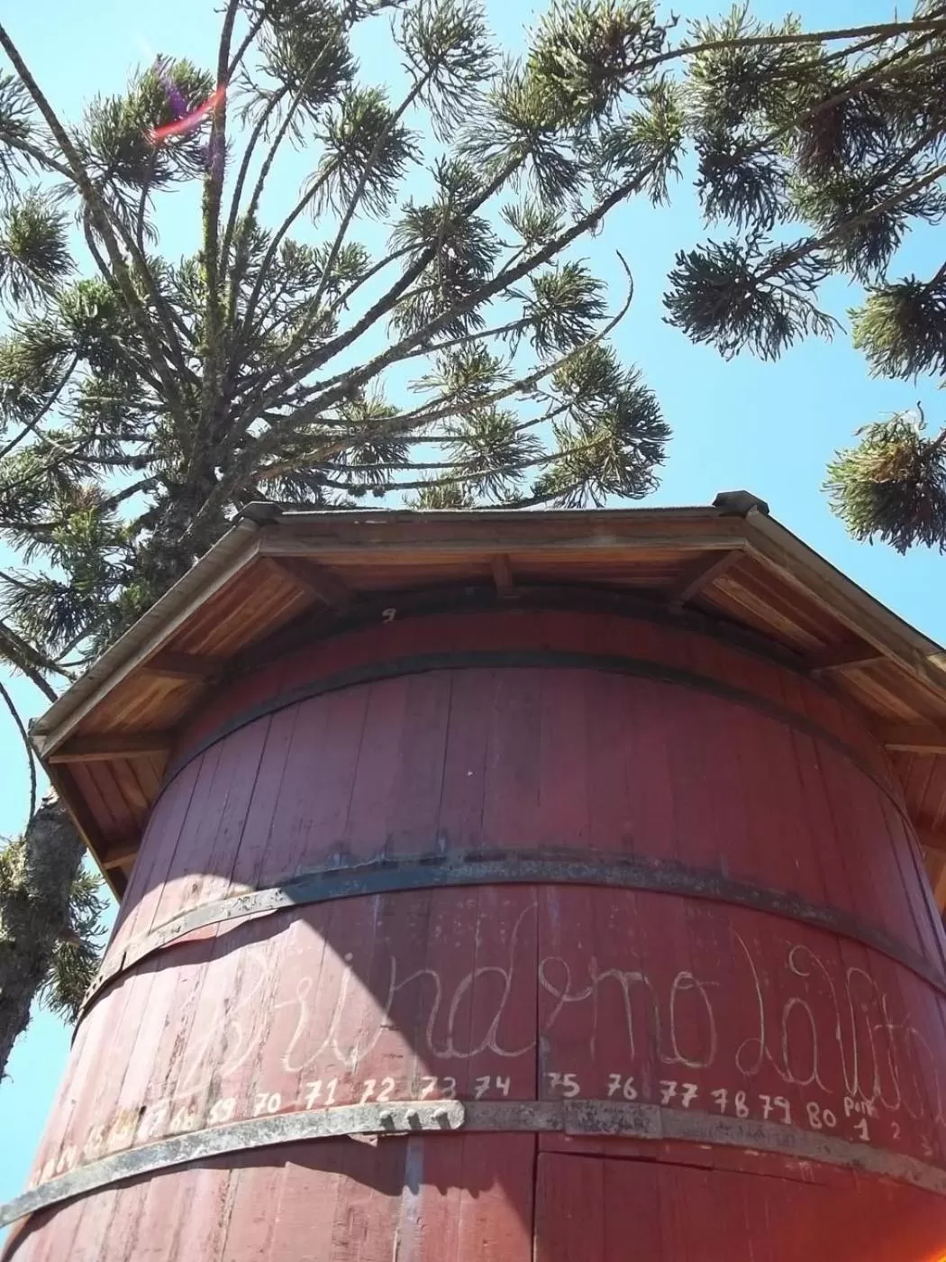 Day in Bina's Haus Pousada, Cafeteria e Atelier