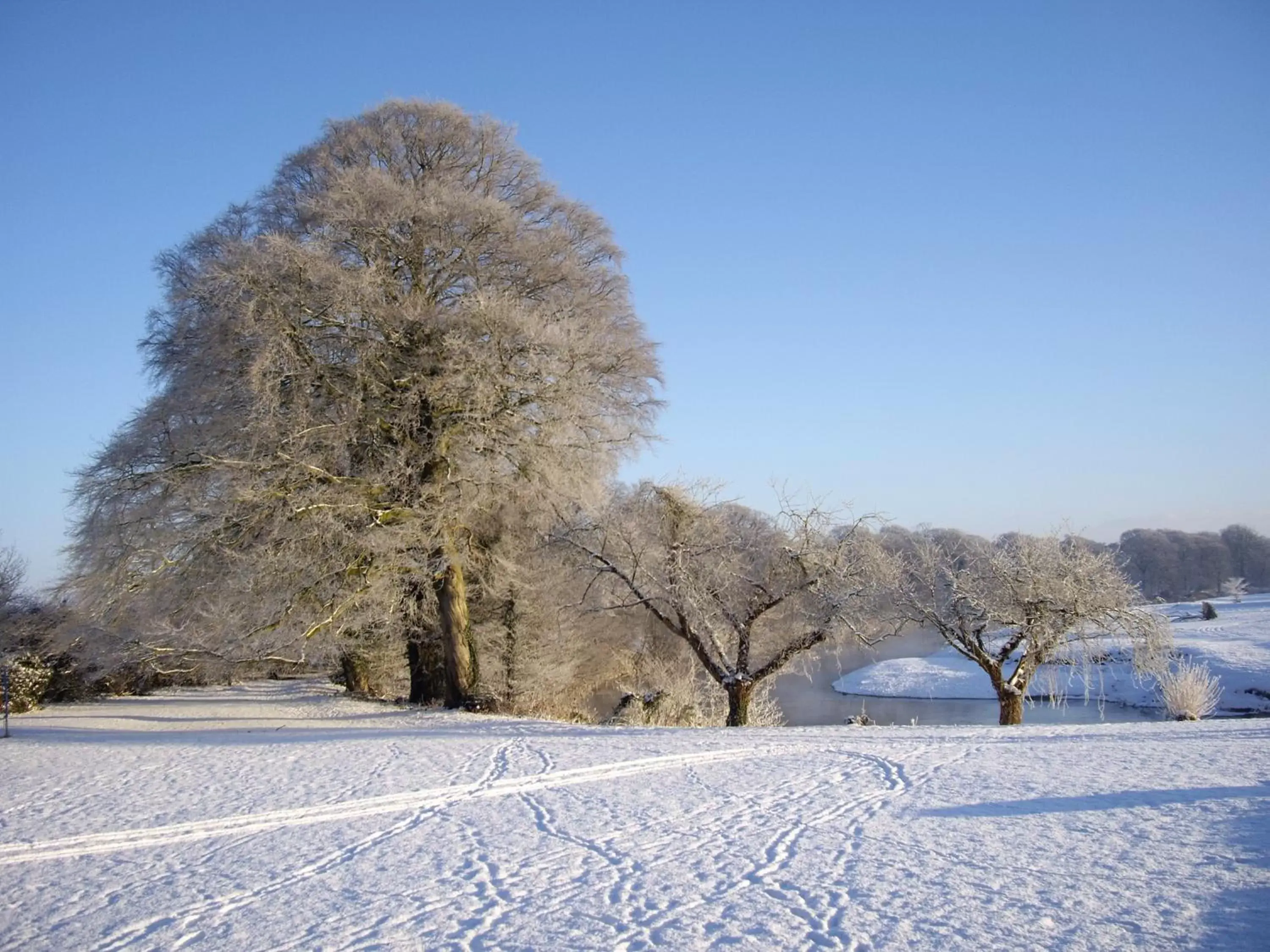 Winter in Warwick Hall