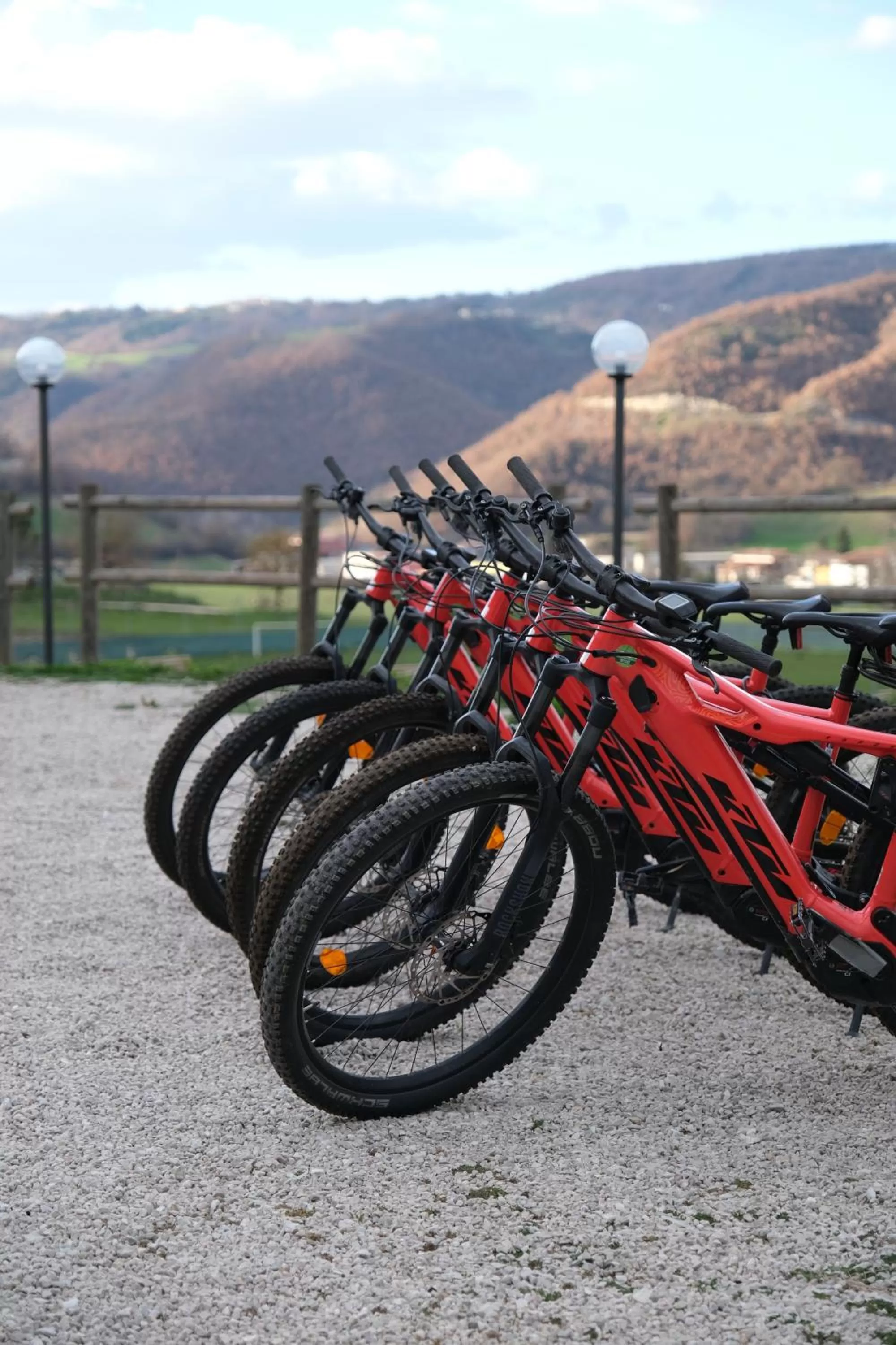 Natural landscape, Beach in Country House Elite