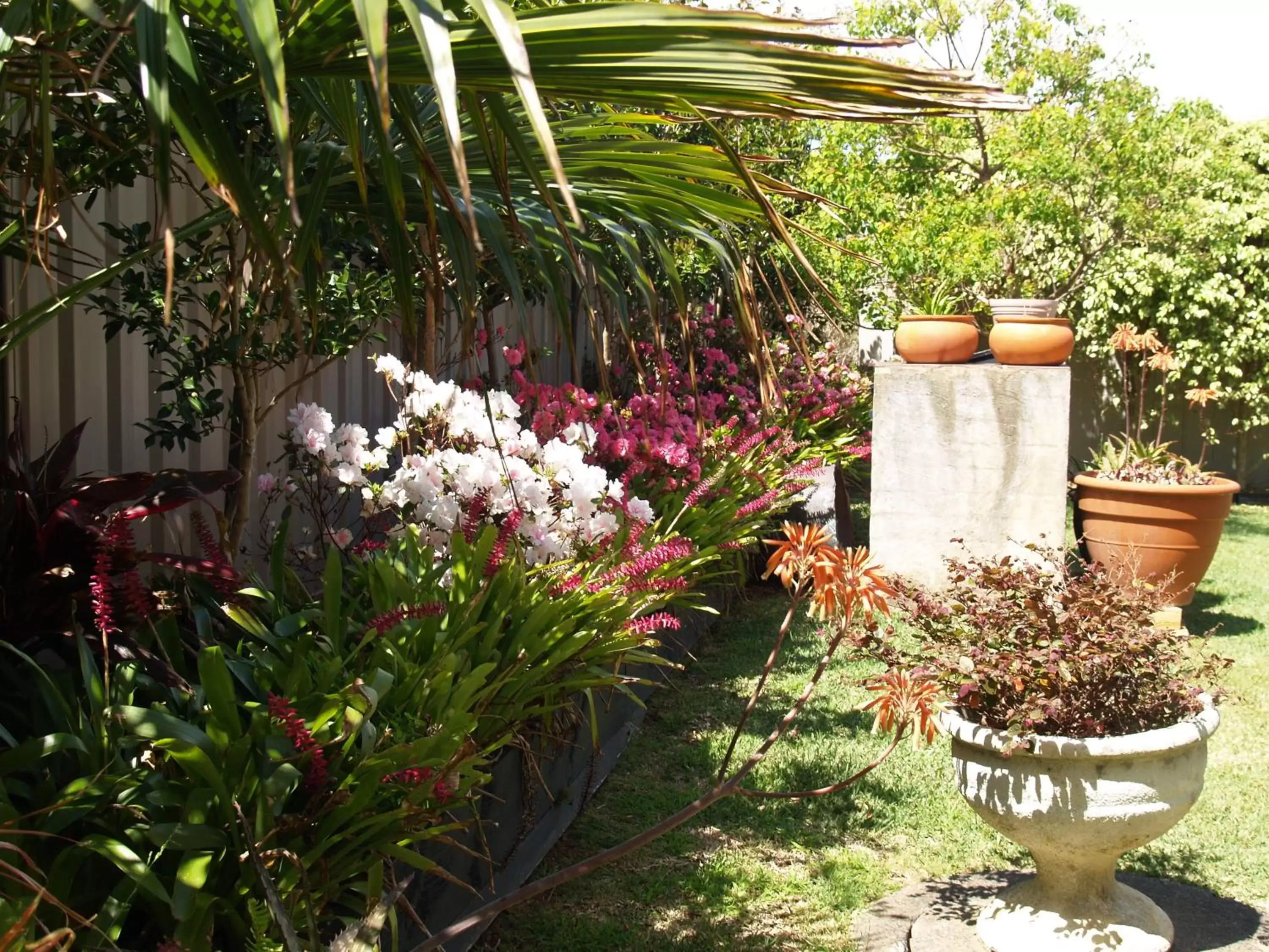 Area and facilities, Garden in Pigeon House Motor Inn