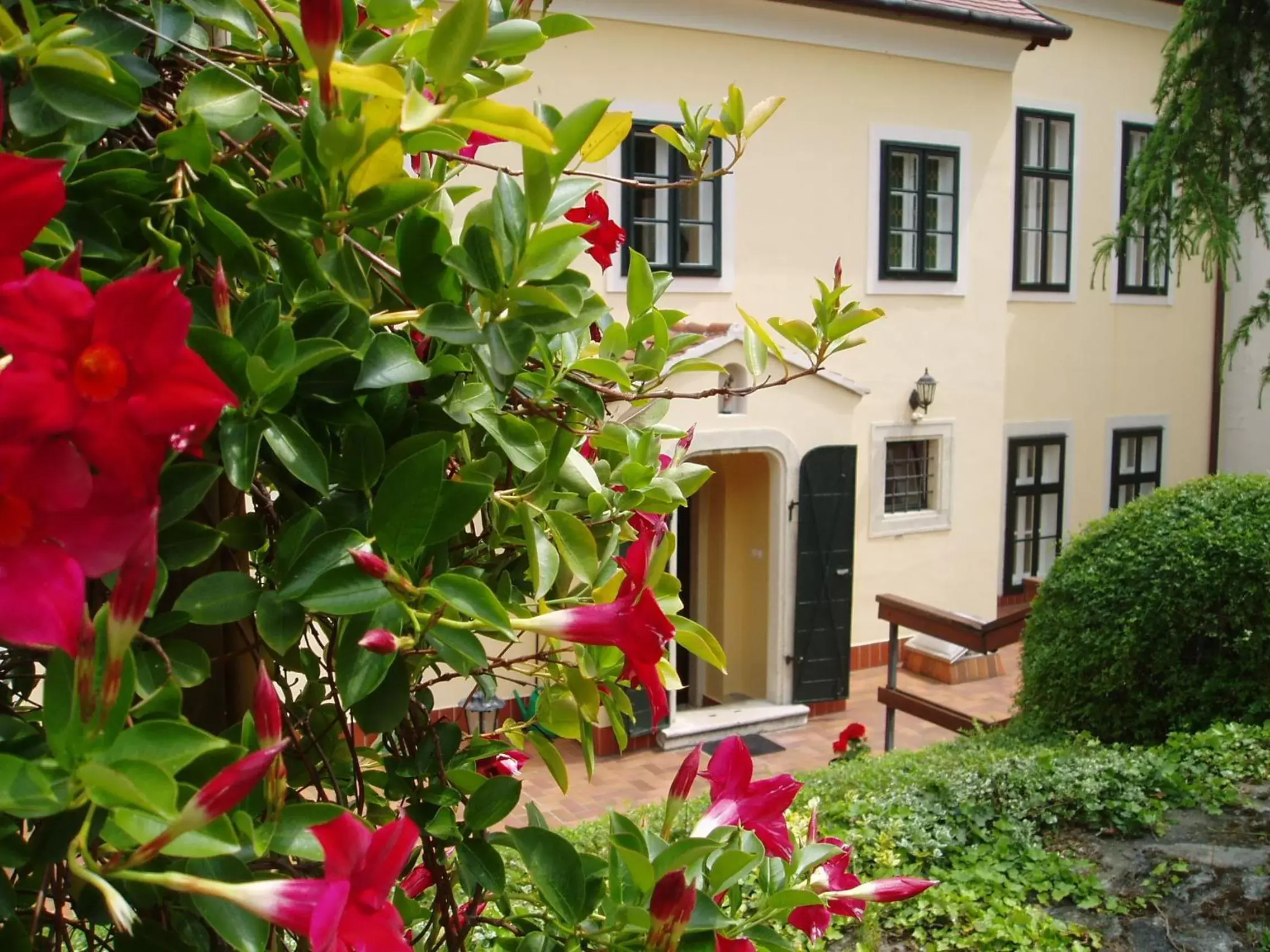 Garden view, Property Building in Hotel Wollner