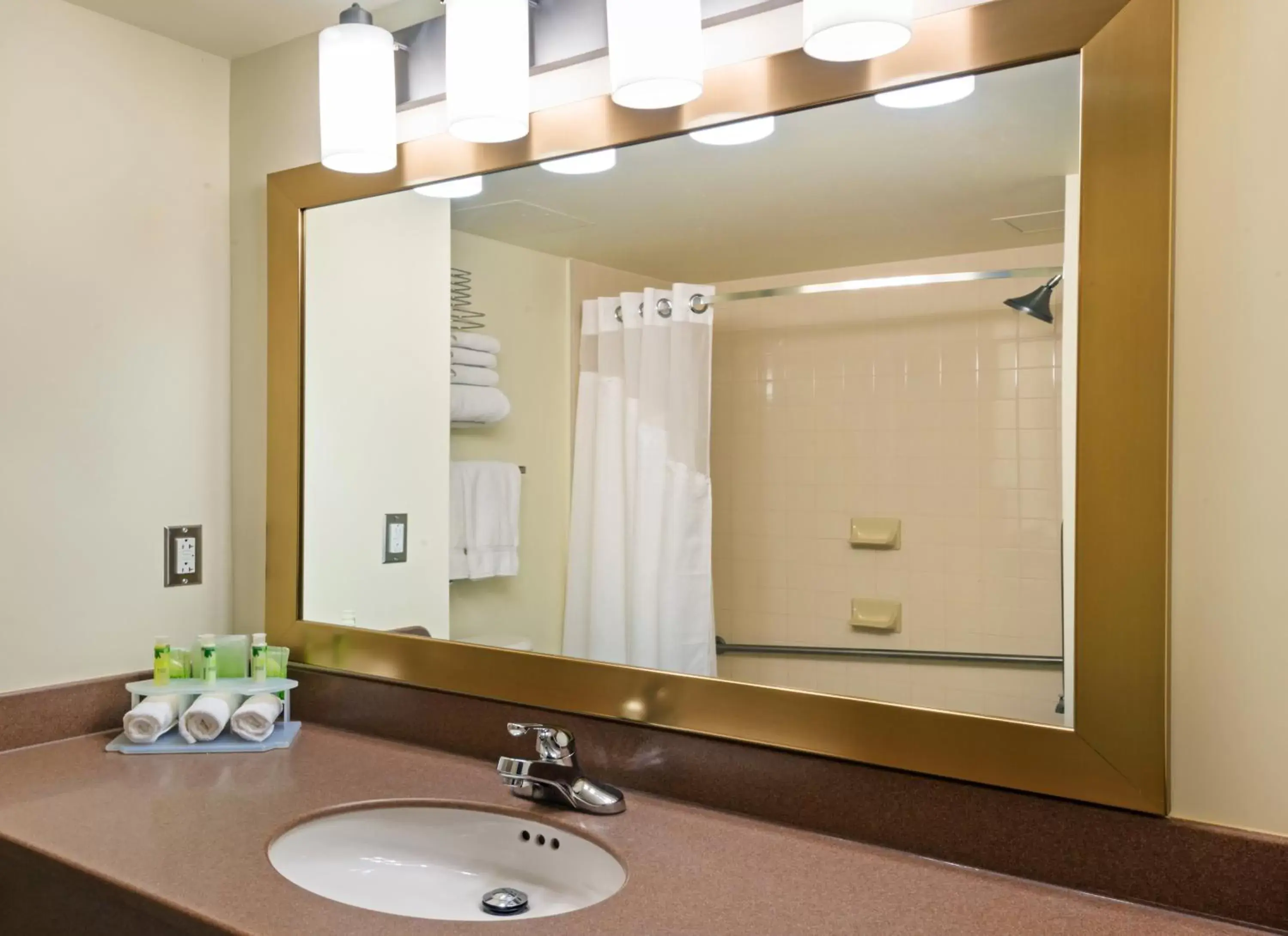 Bathroom in Holiday Inn Express Deer Lake, an IHG Hotel