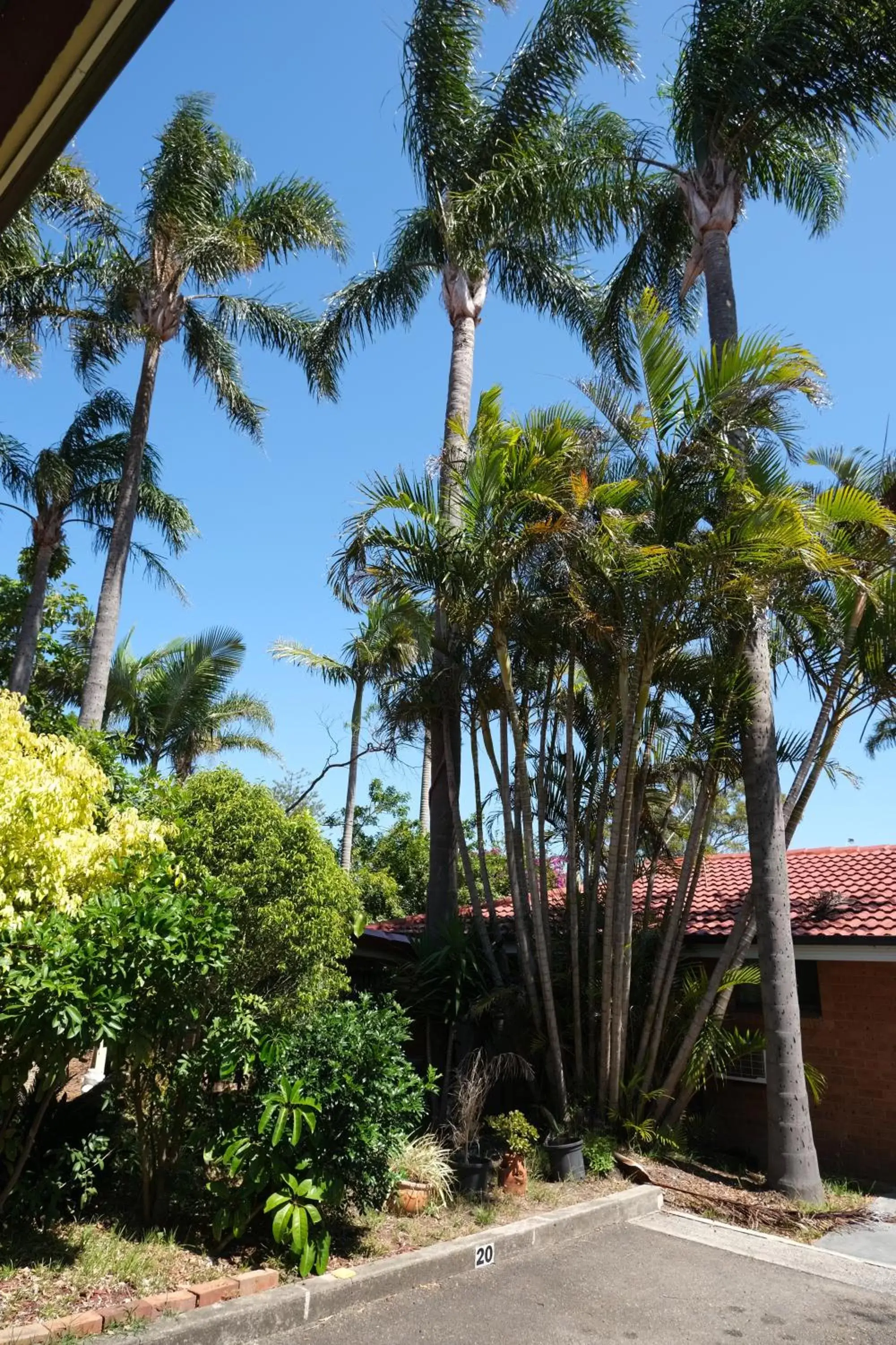 Garden view in Sapphire Palms Motel