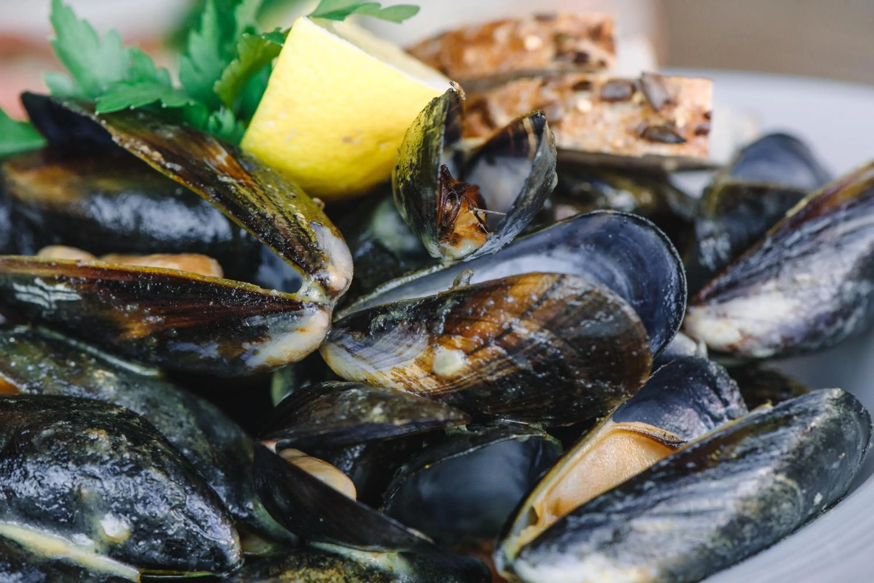 Food and drinks in Boat Country Inn and Restaurant