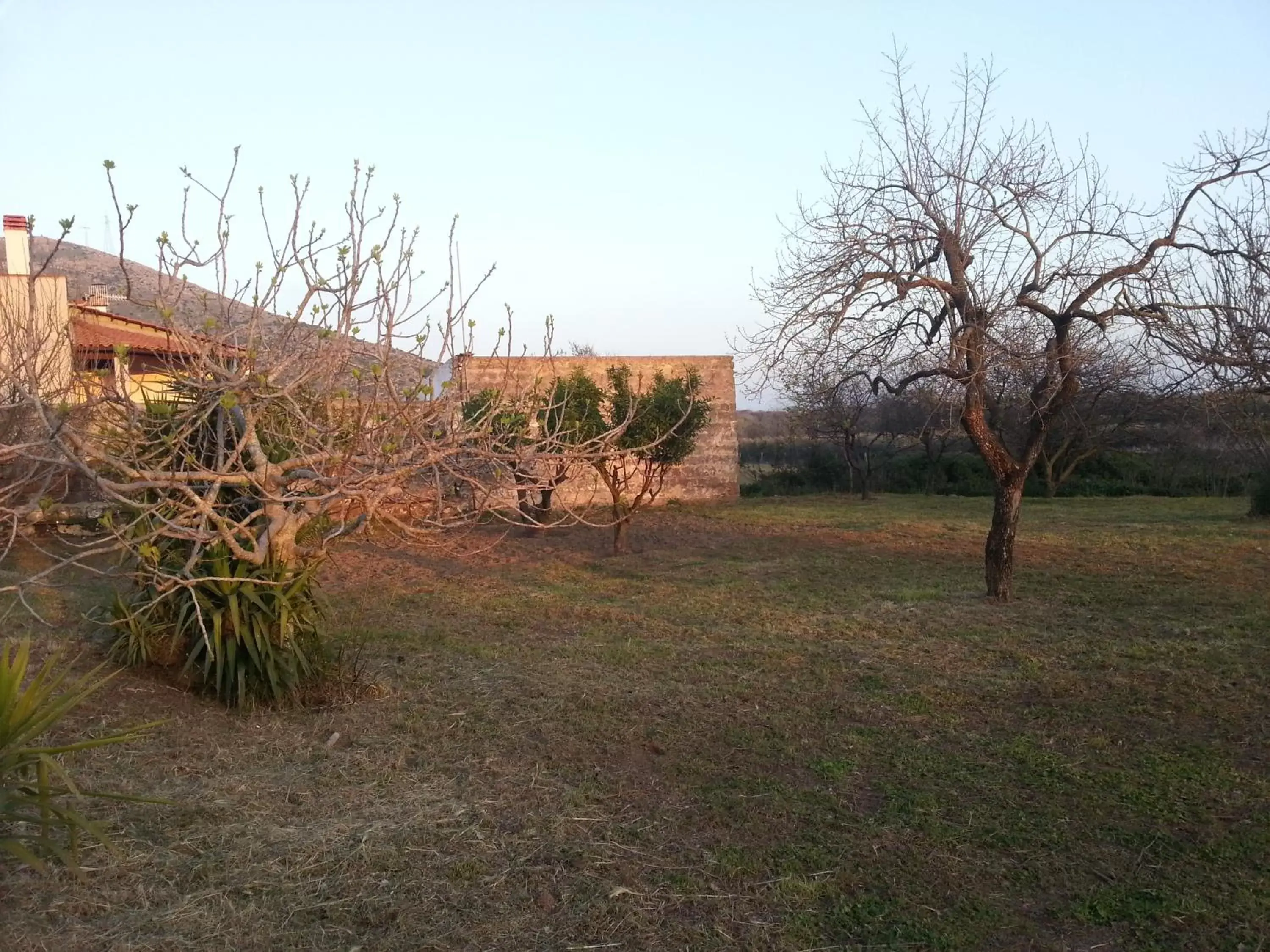 Garden view, Garden in La Masseria