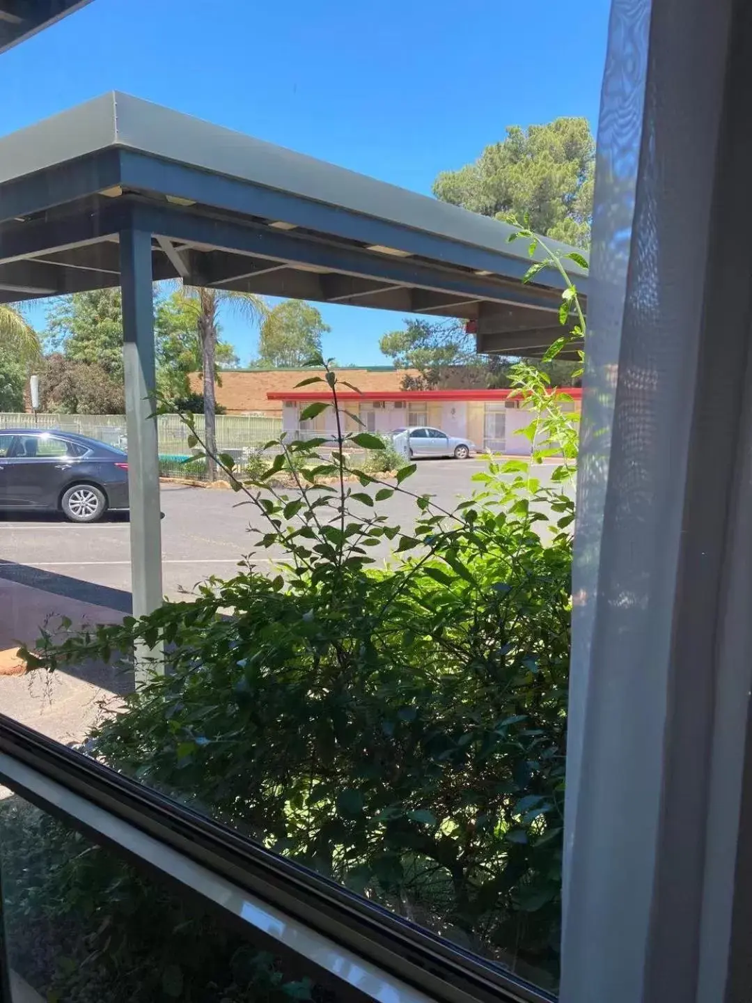 Garden view in Apollo Motel Parkes