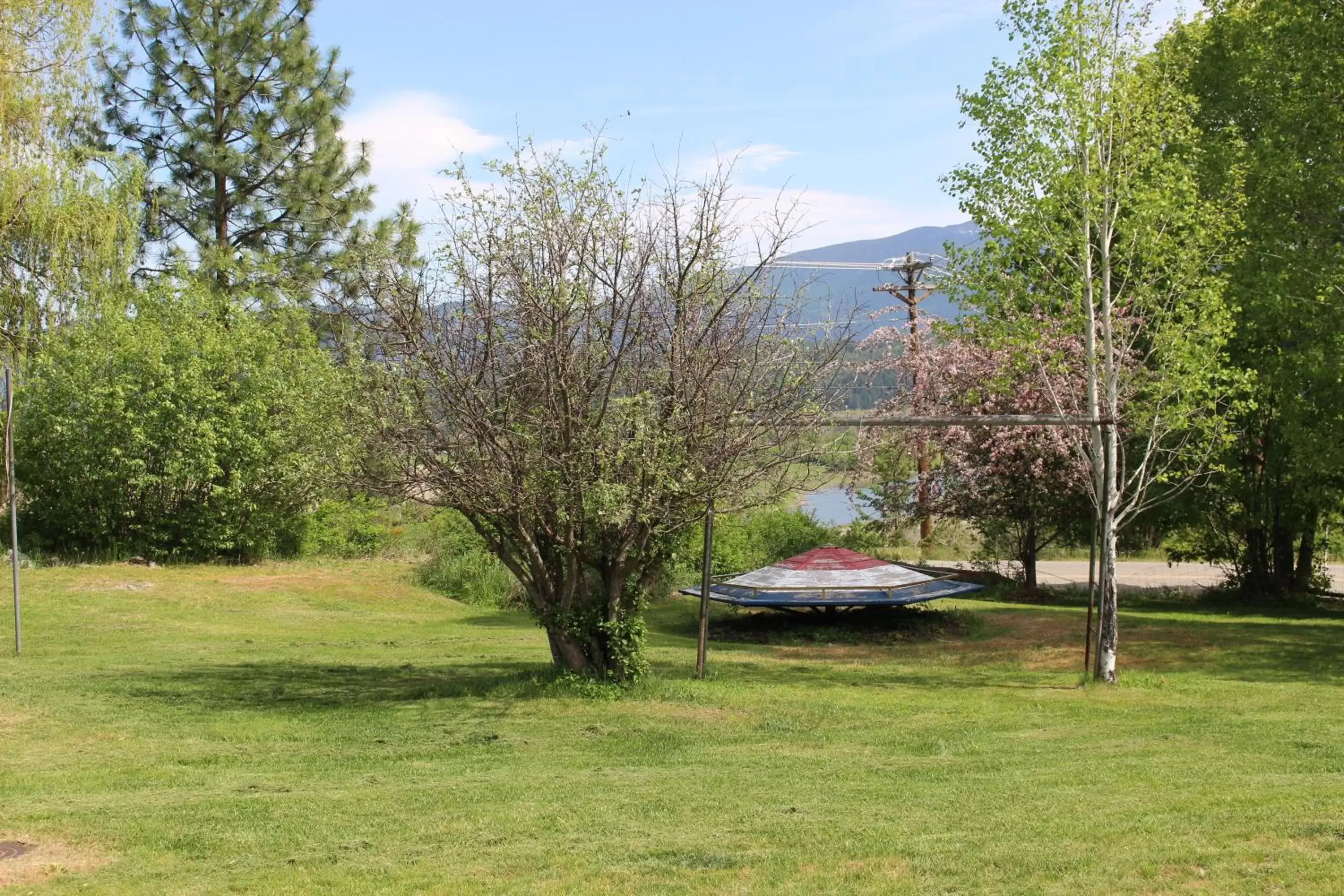 Natural landscape, Garden in Northside School Bed & Breakfast