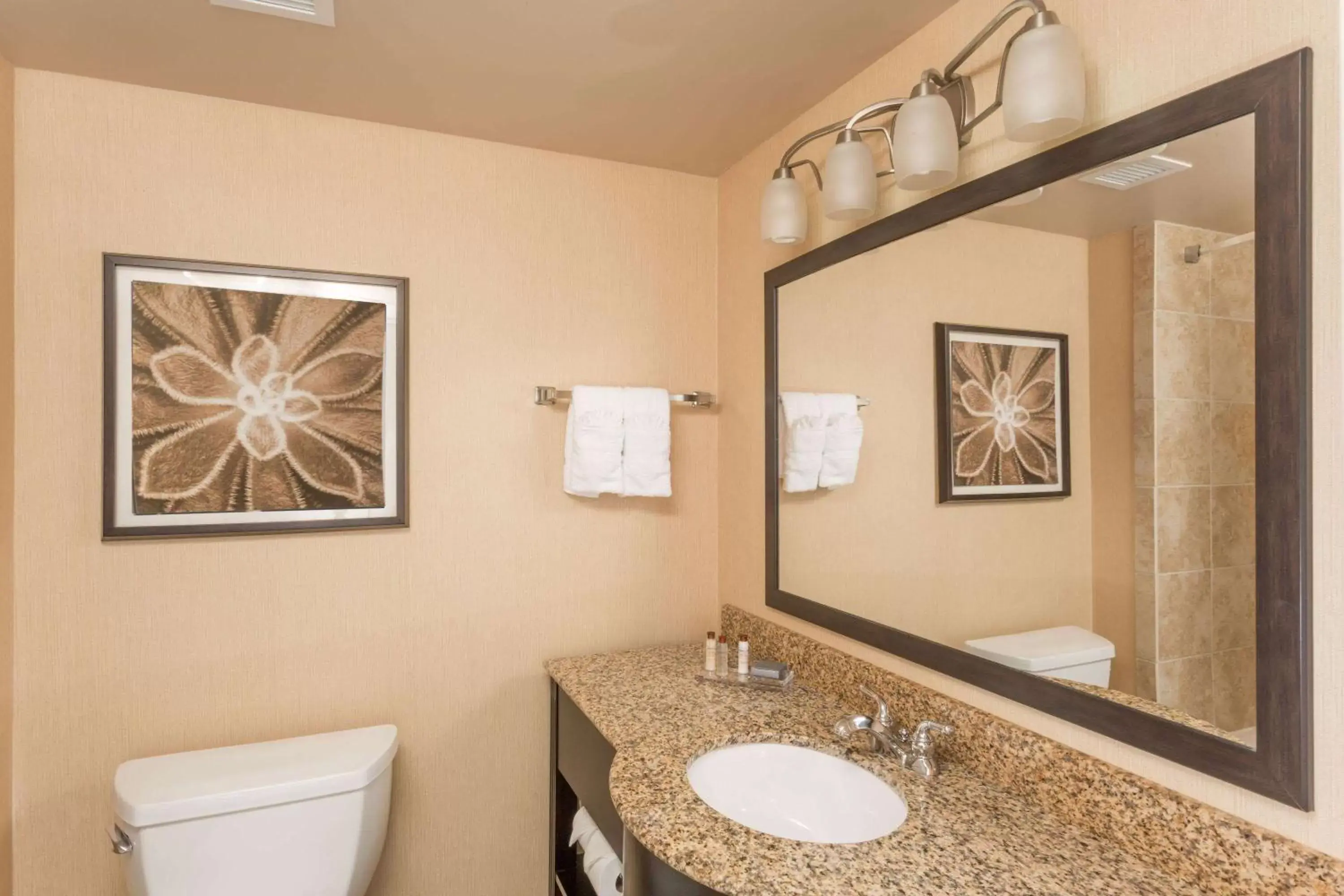 Photo of the whole room, Bathroom in Wingate by Wyndham Houma